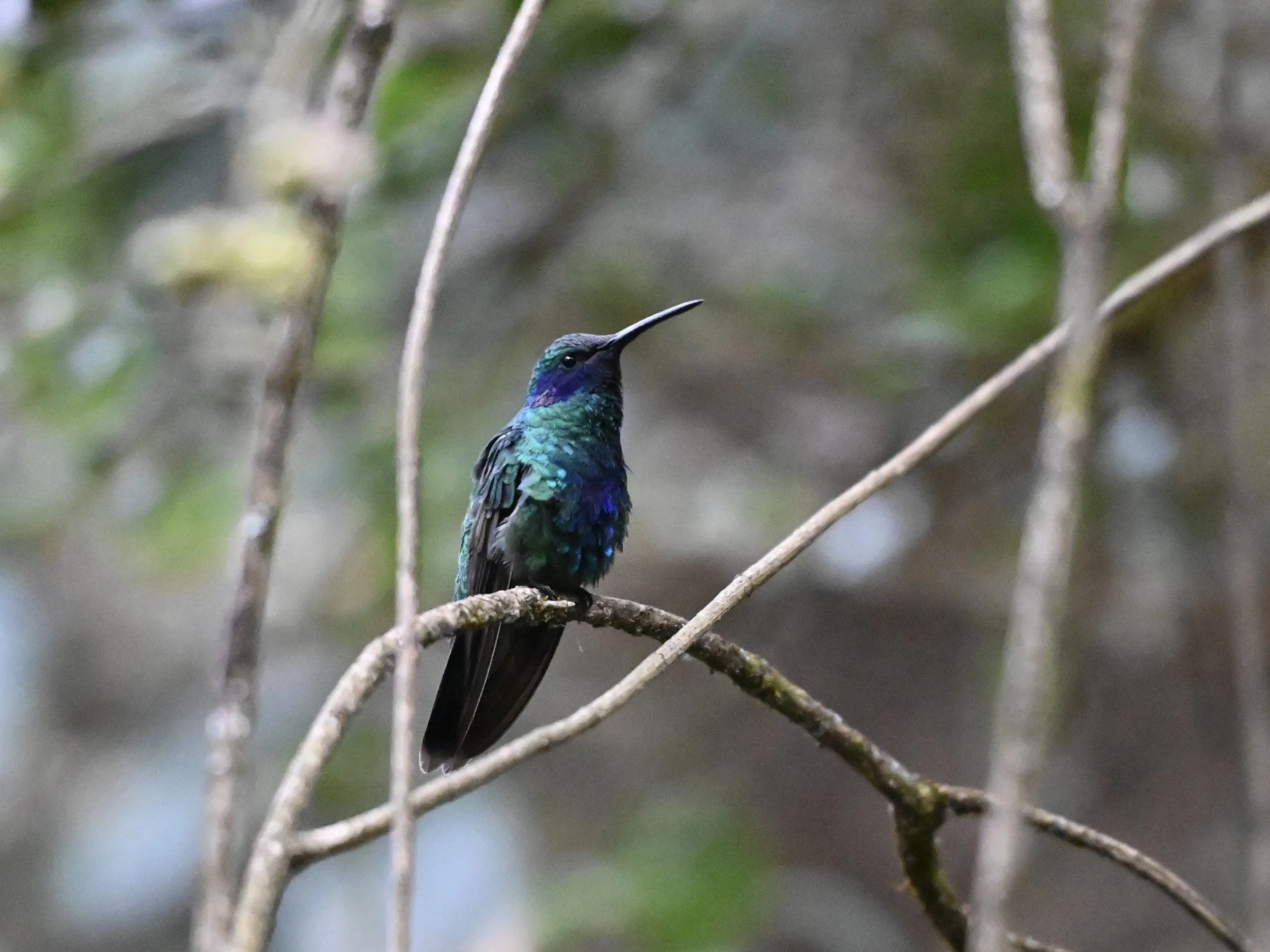 DSC_8784.jpeg