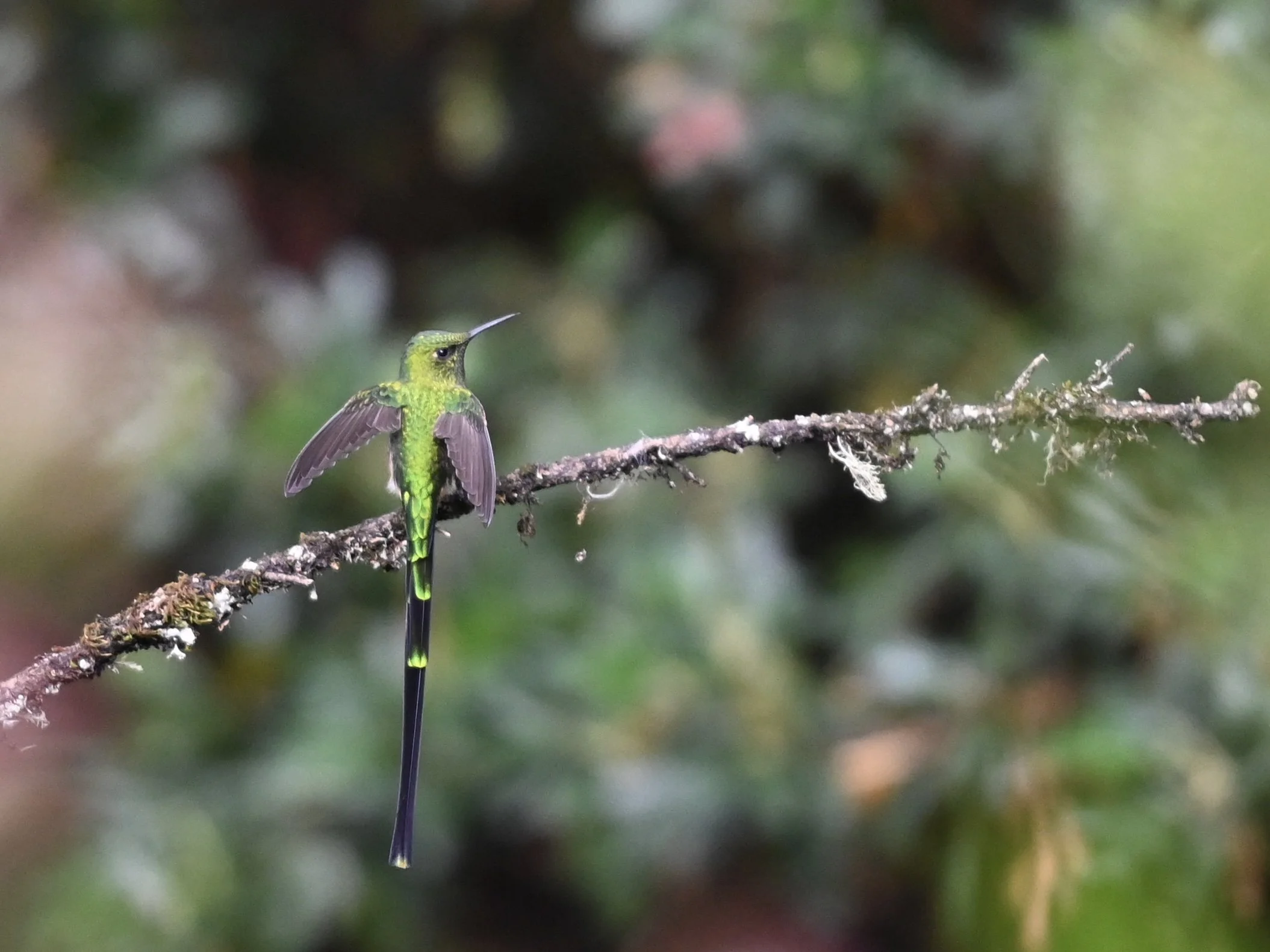DSC_8742.jpeg