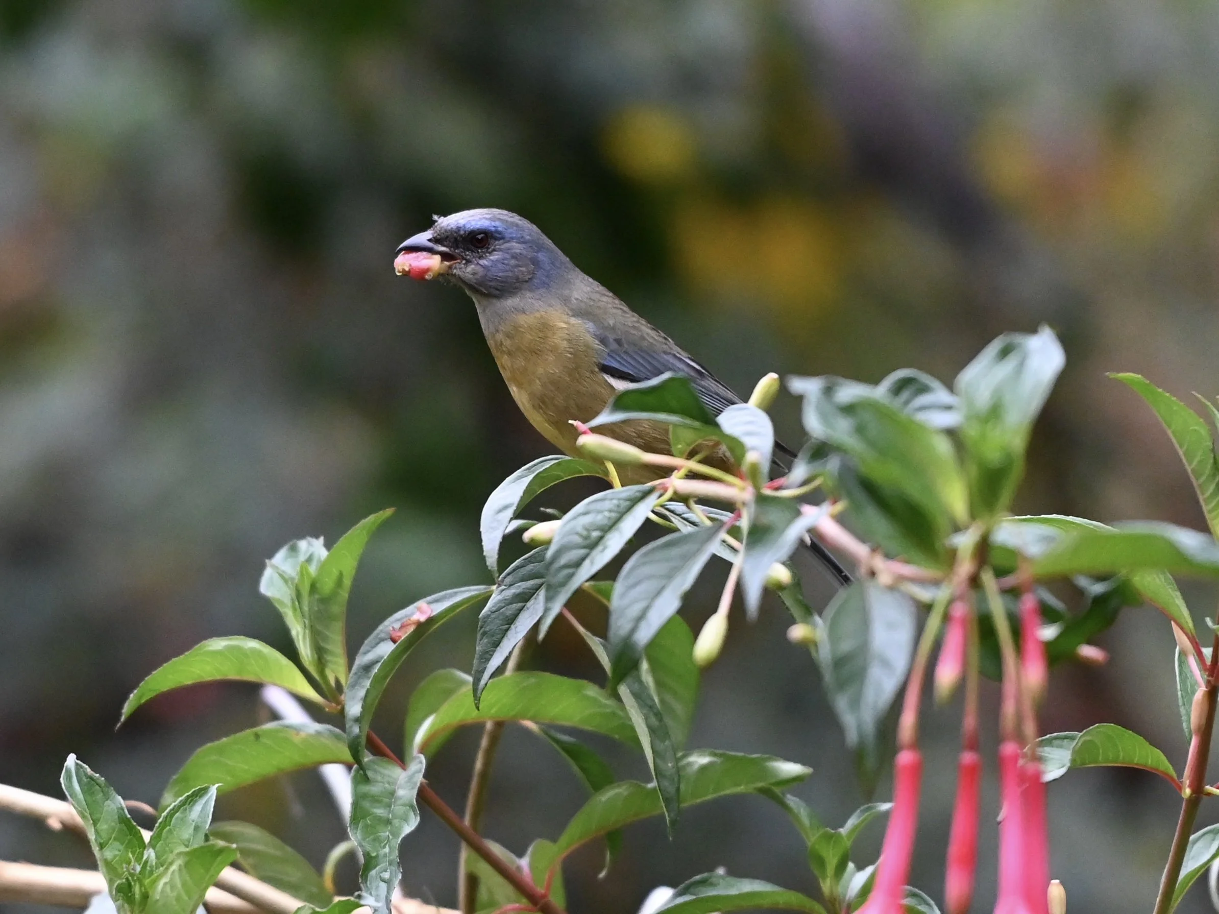 DSC_8733.jpeg