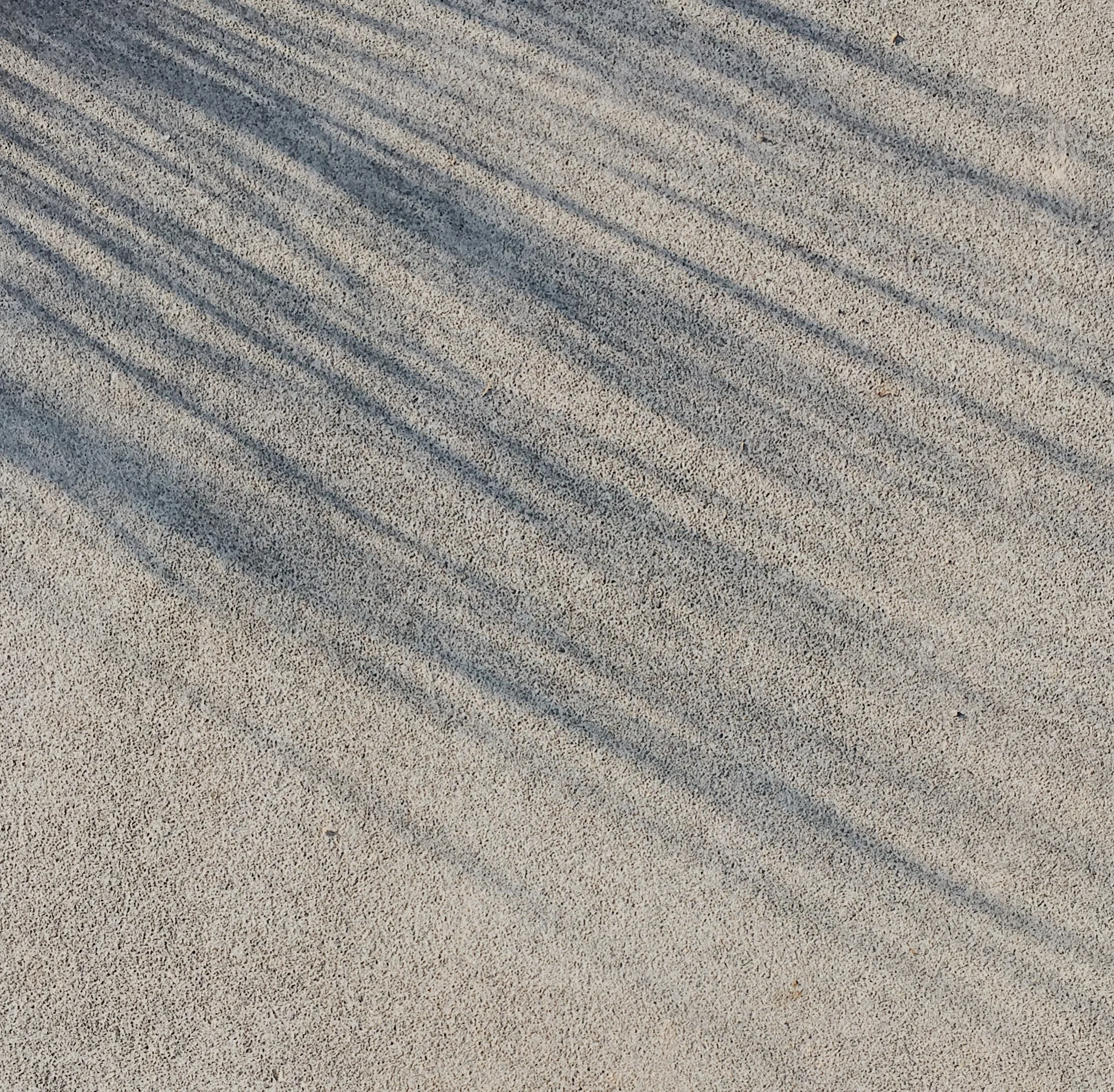 sylvia-prats-598183-unsplash.jpg