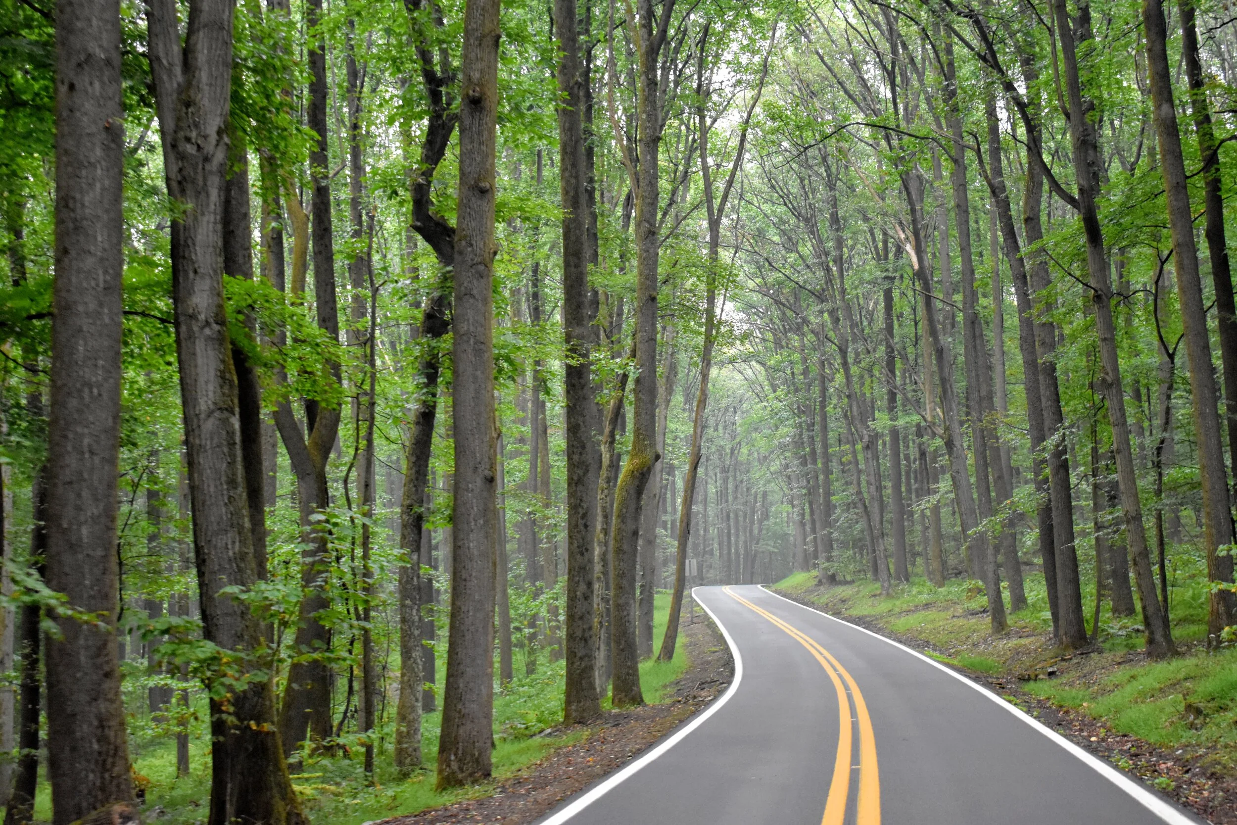 (2020) My Experience in Morgantown, West Virginia 