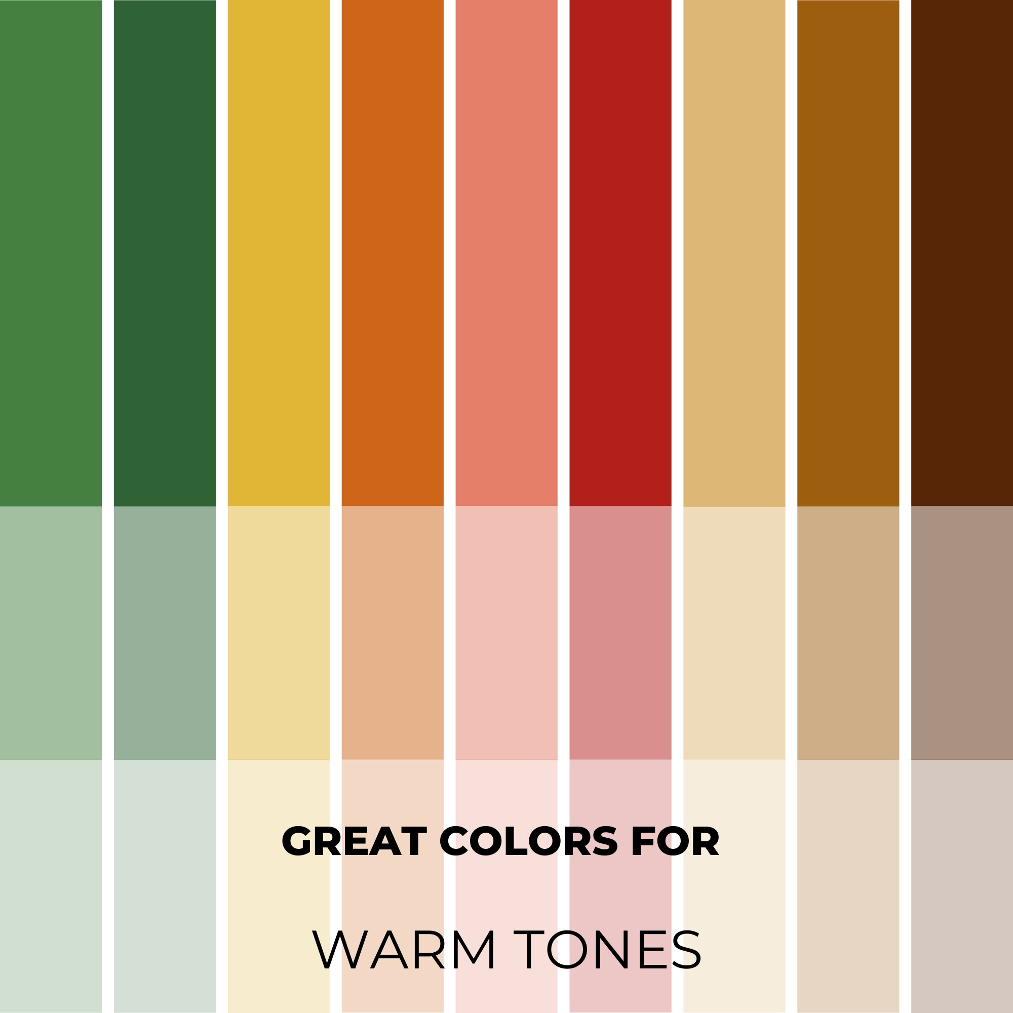 Warm and Vibrant Color Palette