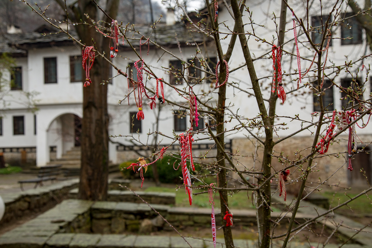 A longstanding tradition in Bulgaria is to wear a Martenitsa from the first of March until the wearer sees a stork or swallow returning from migration, or a newly blossoming tree. The taking off of a Martenitsa is a ritual handled differently throughout Bulgaria and some tie the Martenitsa on a branch of a fruit tree, thus giving the tree health the same health and luck Martenitsa owner has enjoyed themselves while wearing it. Others put it under a stone with the idea that the kind of creature (usually an insect) closest to the token the next day will determine the person's health for the rest of the year. Martenitsas are always given as gifts and never bought for oneself.
