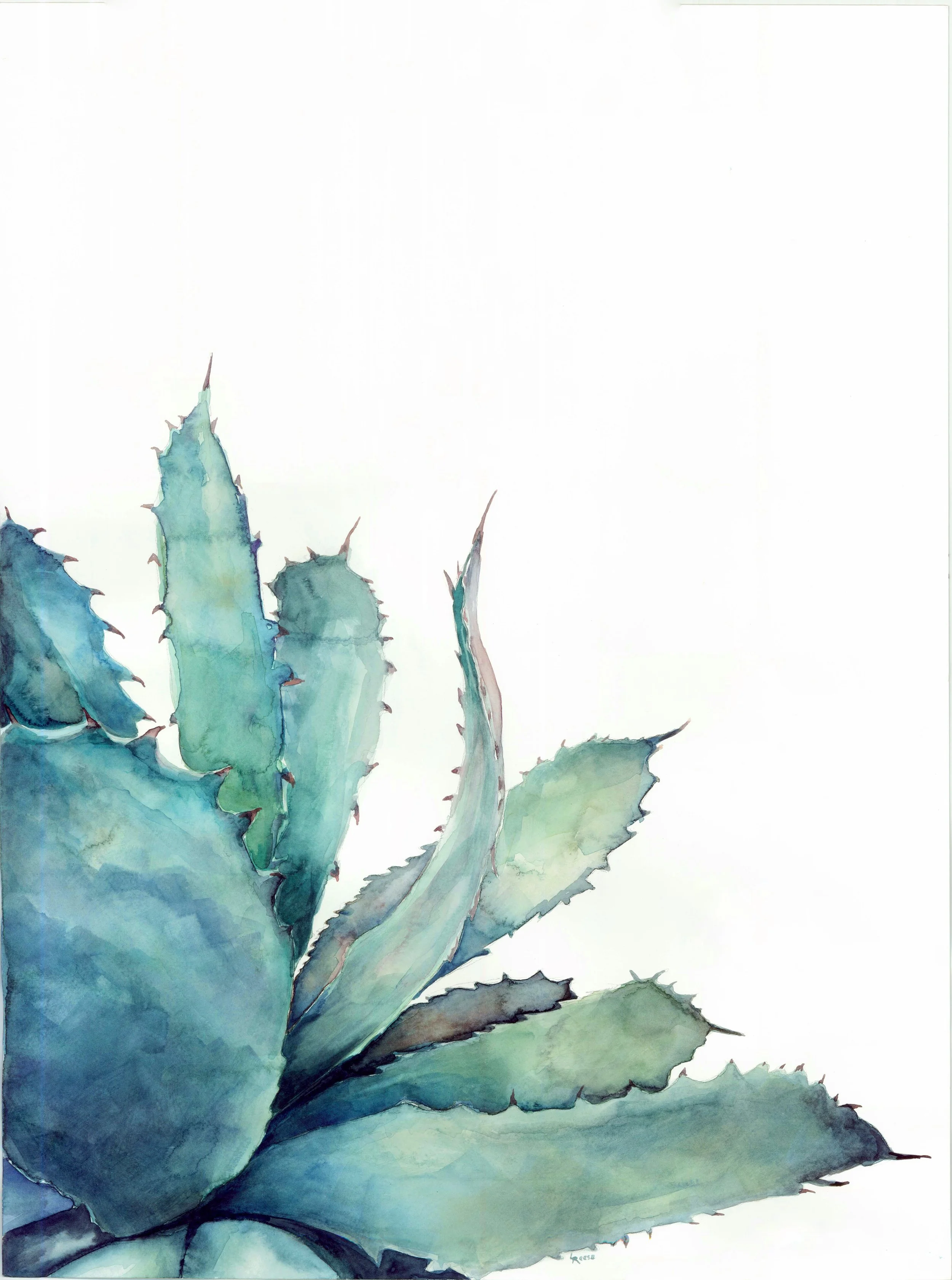 Aloe Plant Print | Ampersand Mother
