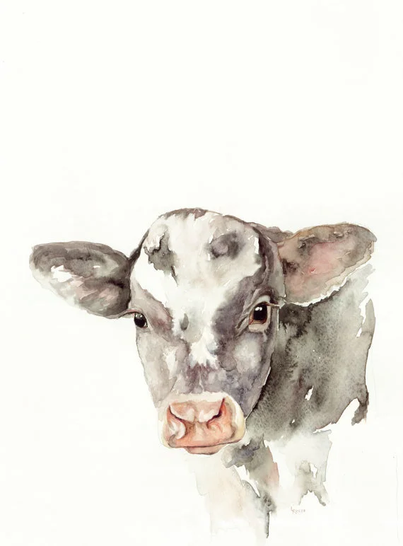 Baby Cow Print | Ampersand Mother