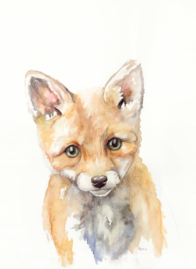 Baby Fox Print | Ampersand Mother