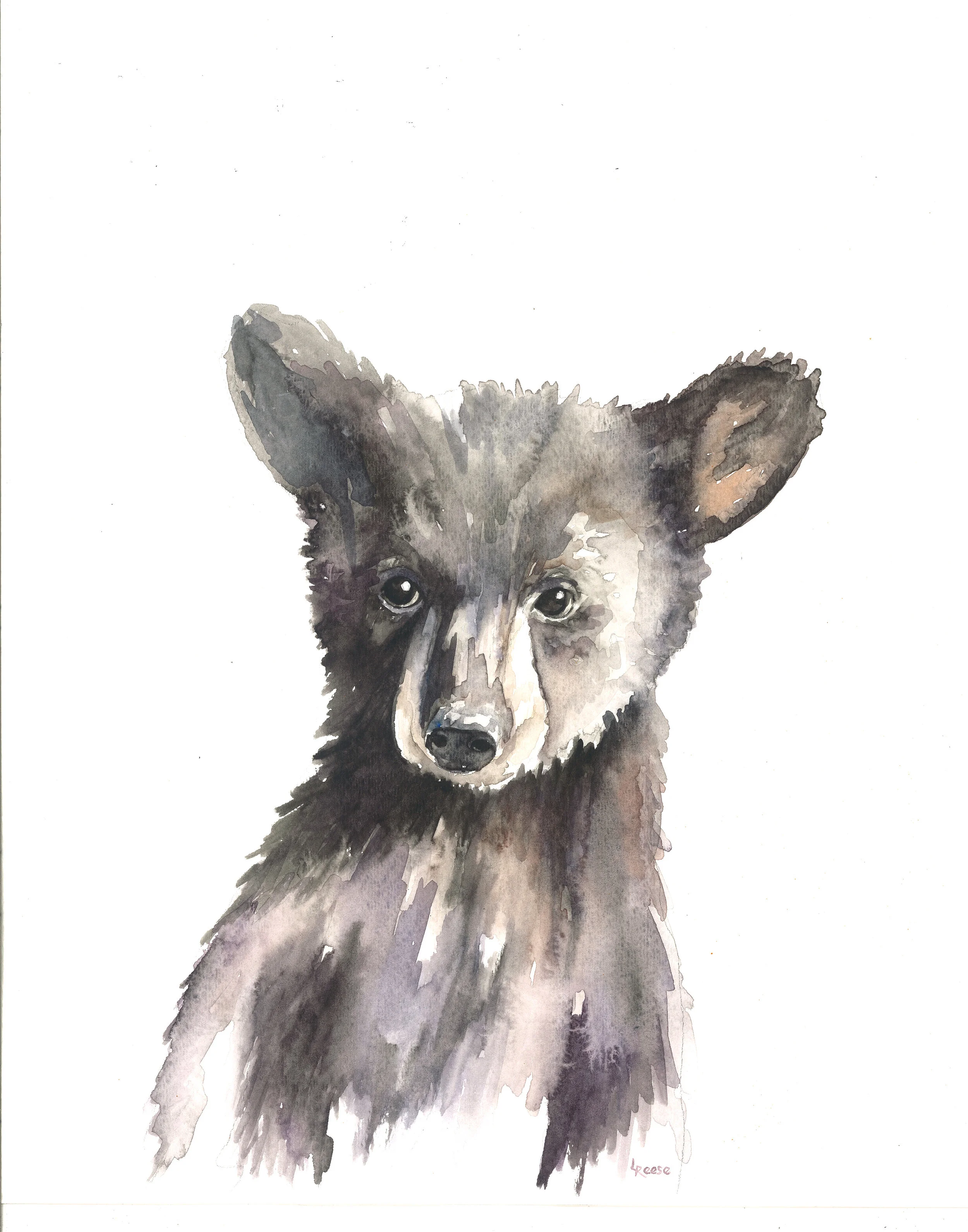 Baby Bear Print | Ampersand Mother