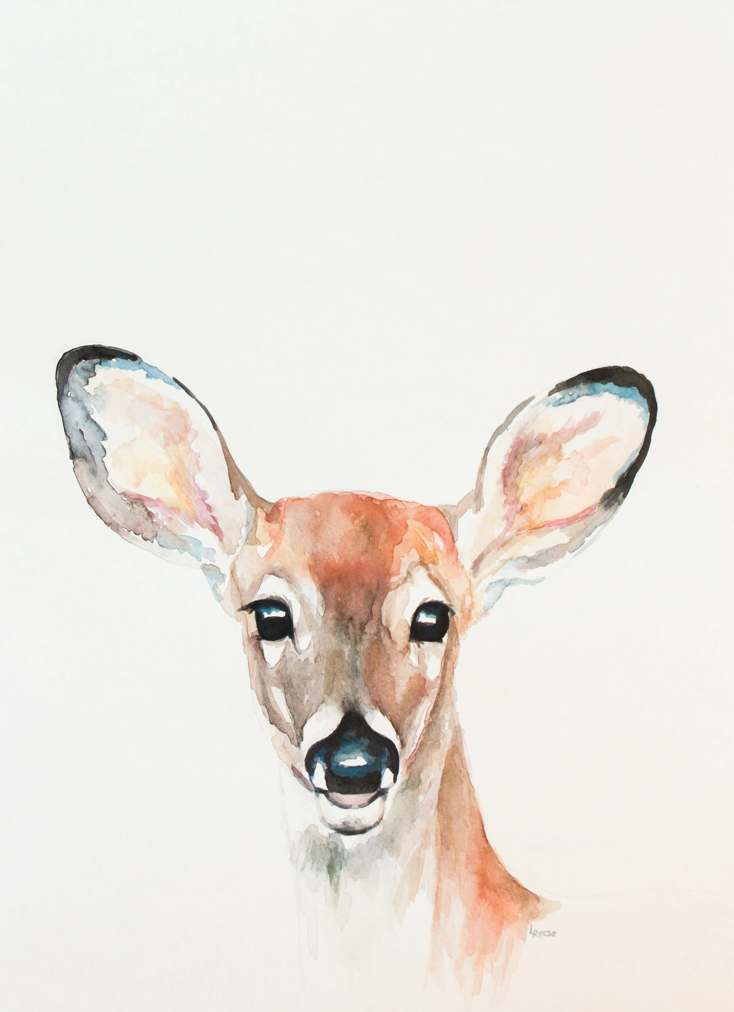 Deer Print | Ampersand Mother