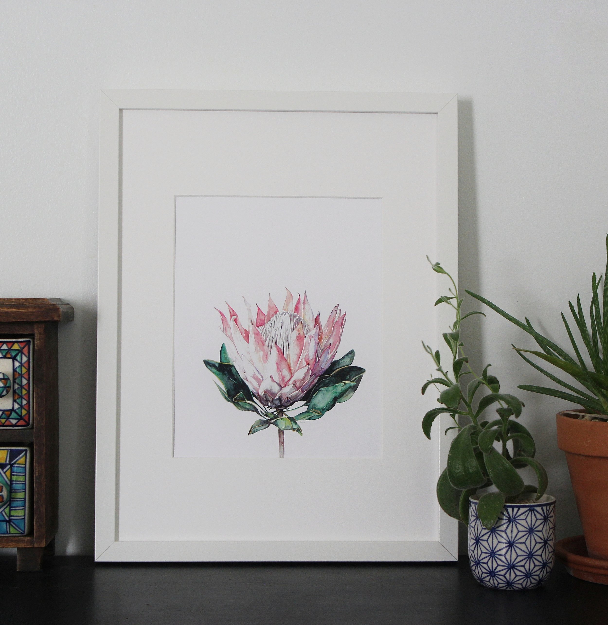 King Protea | Ampersand Mother