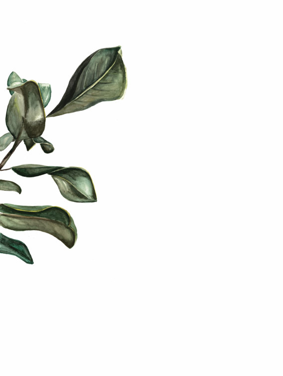 Magnolia Branch Prints | Ampersand Mother