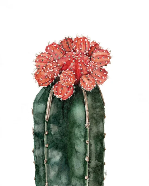 Moon Cactus Print | Ampersand Mother