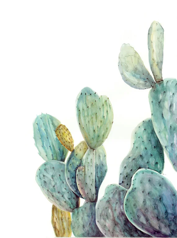 prickly pear print | Ampersand Mother