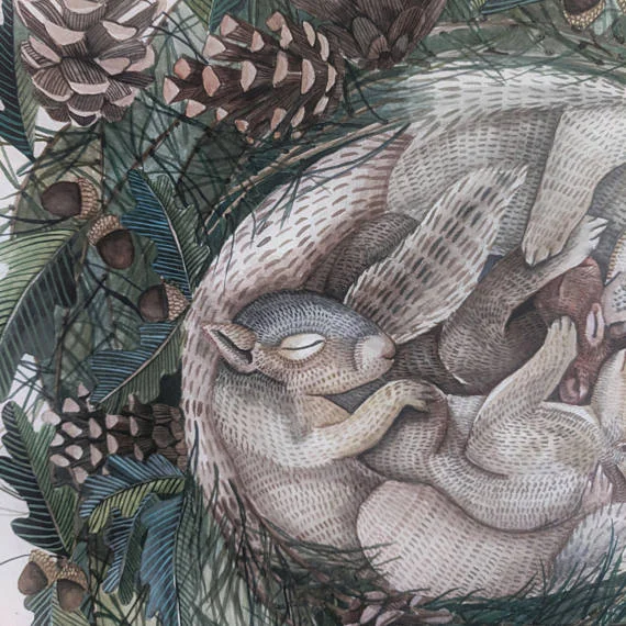 Sleeping Squirrel Print | Ampersand Mother