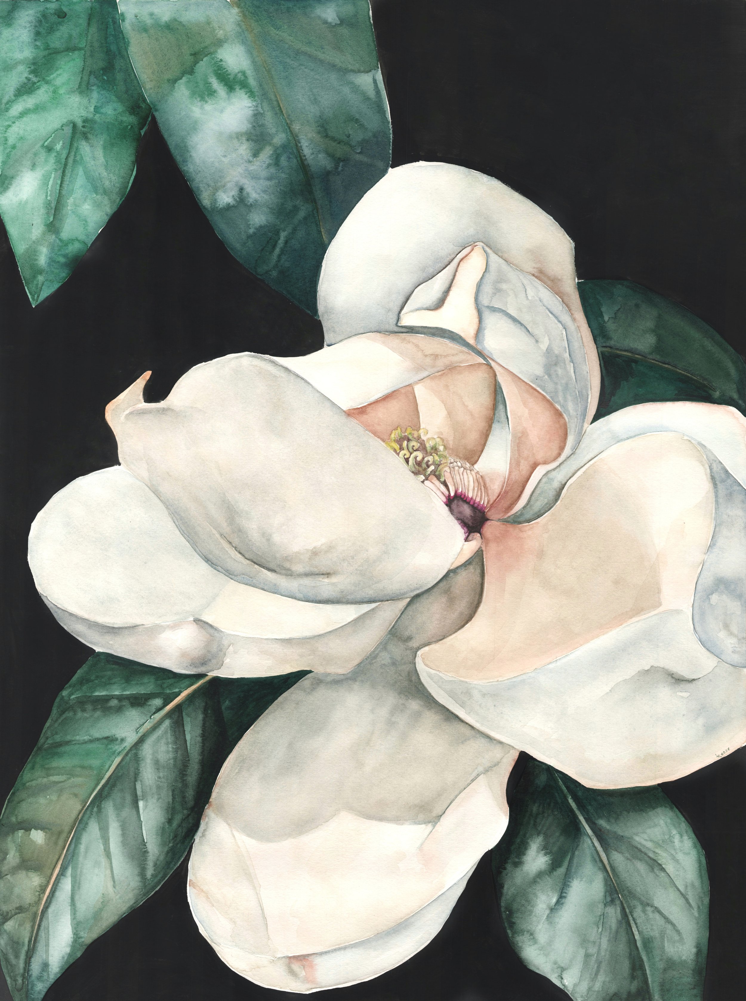 Magnolia Dark Background Final.jpeg