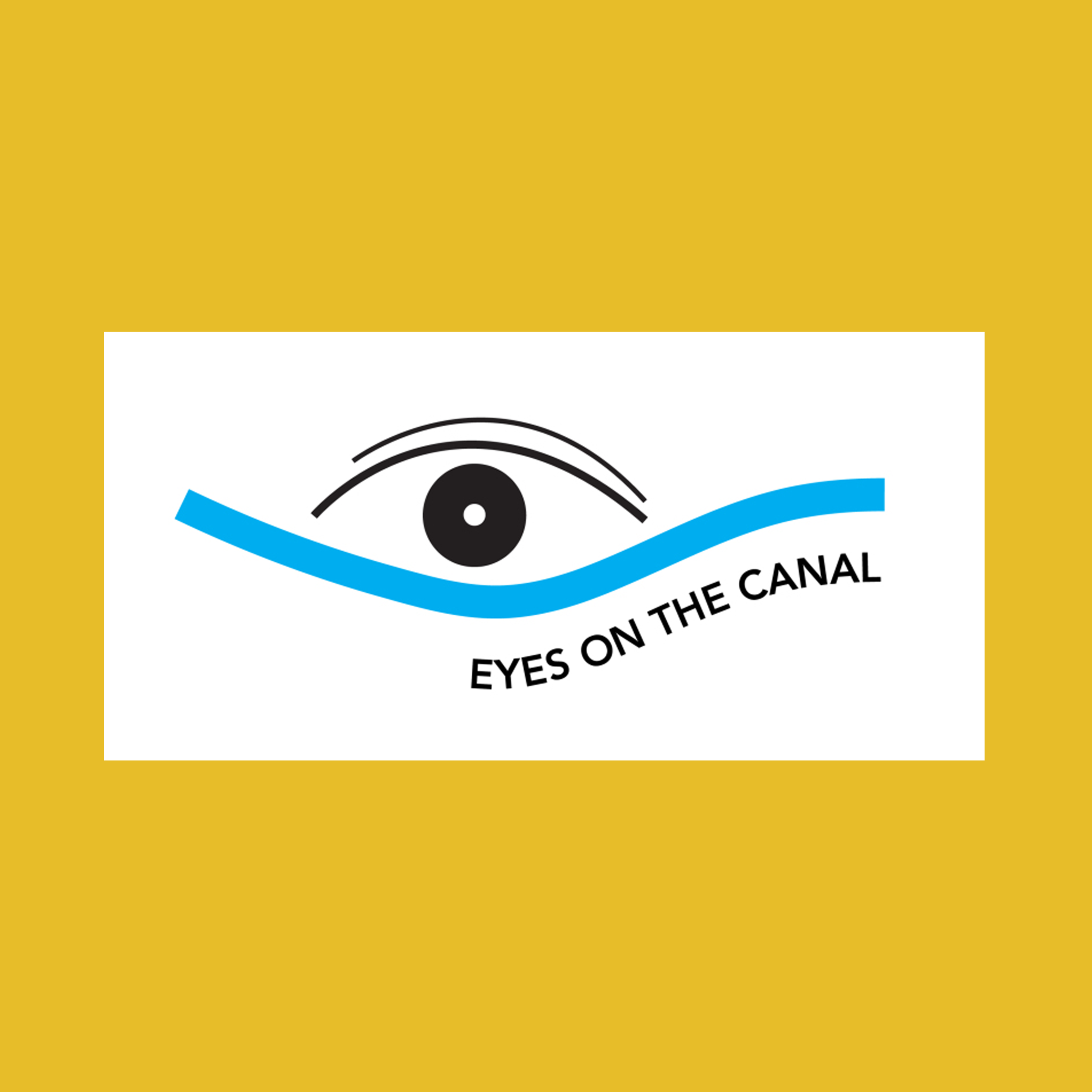 Eyes On the Canal.png