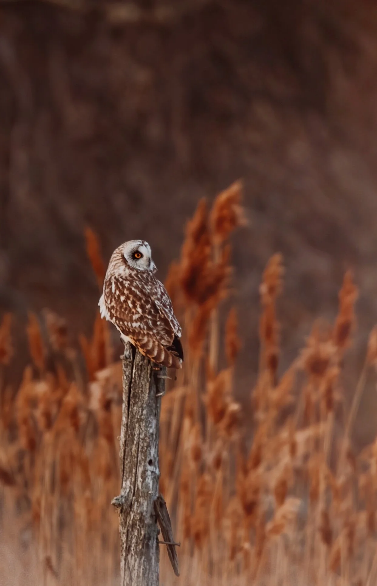 LD-Export copy 3 8.26.07 PM.JPG