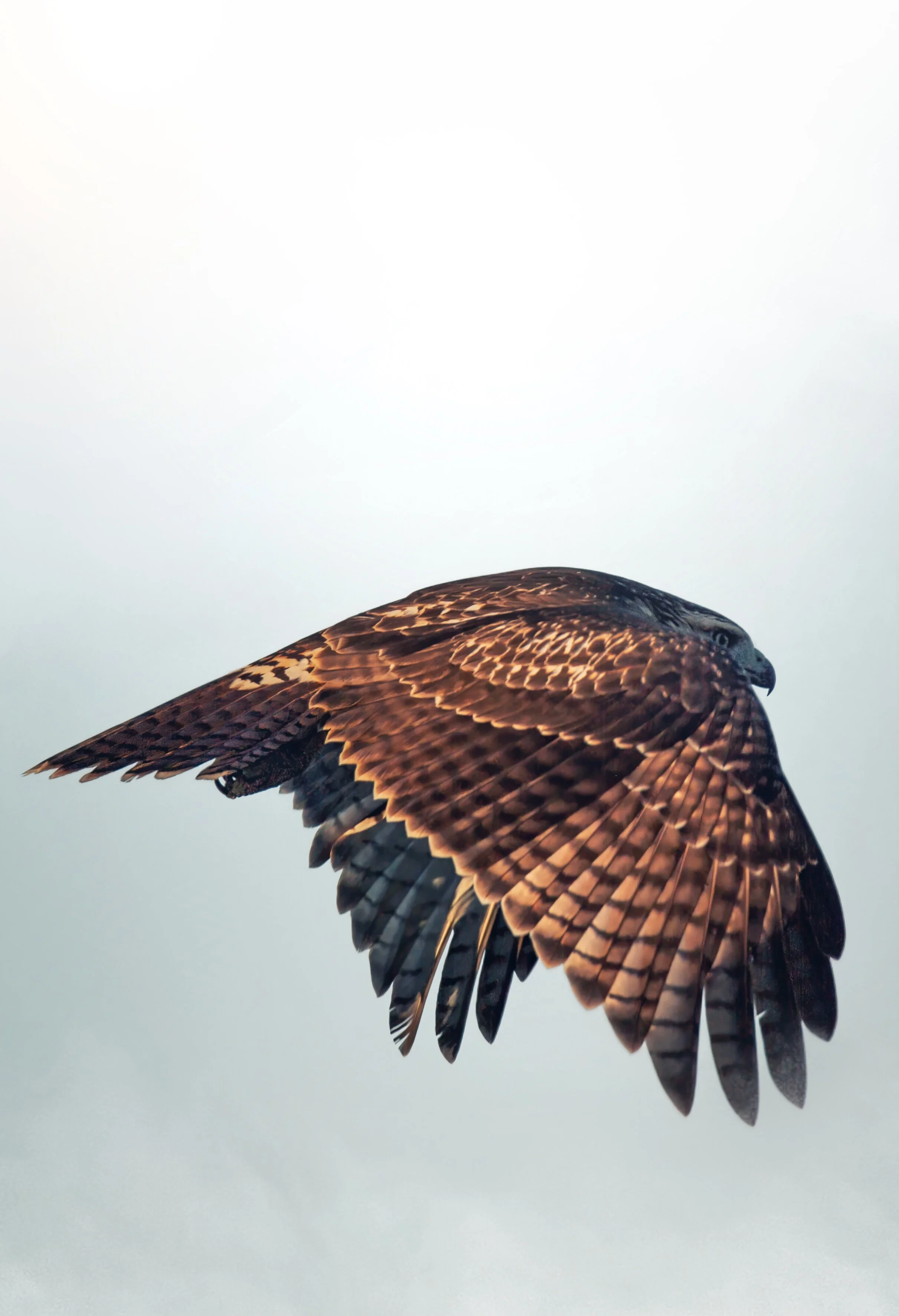 LD-Export copy 8.26.07 PM.JPG