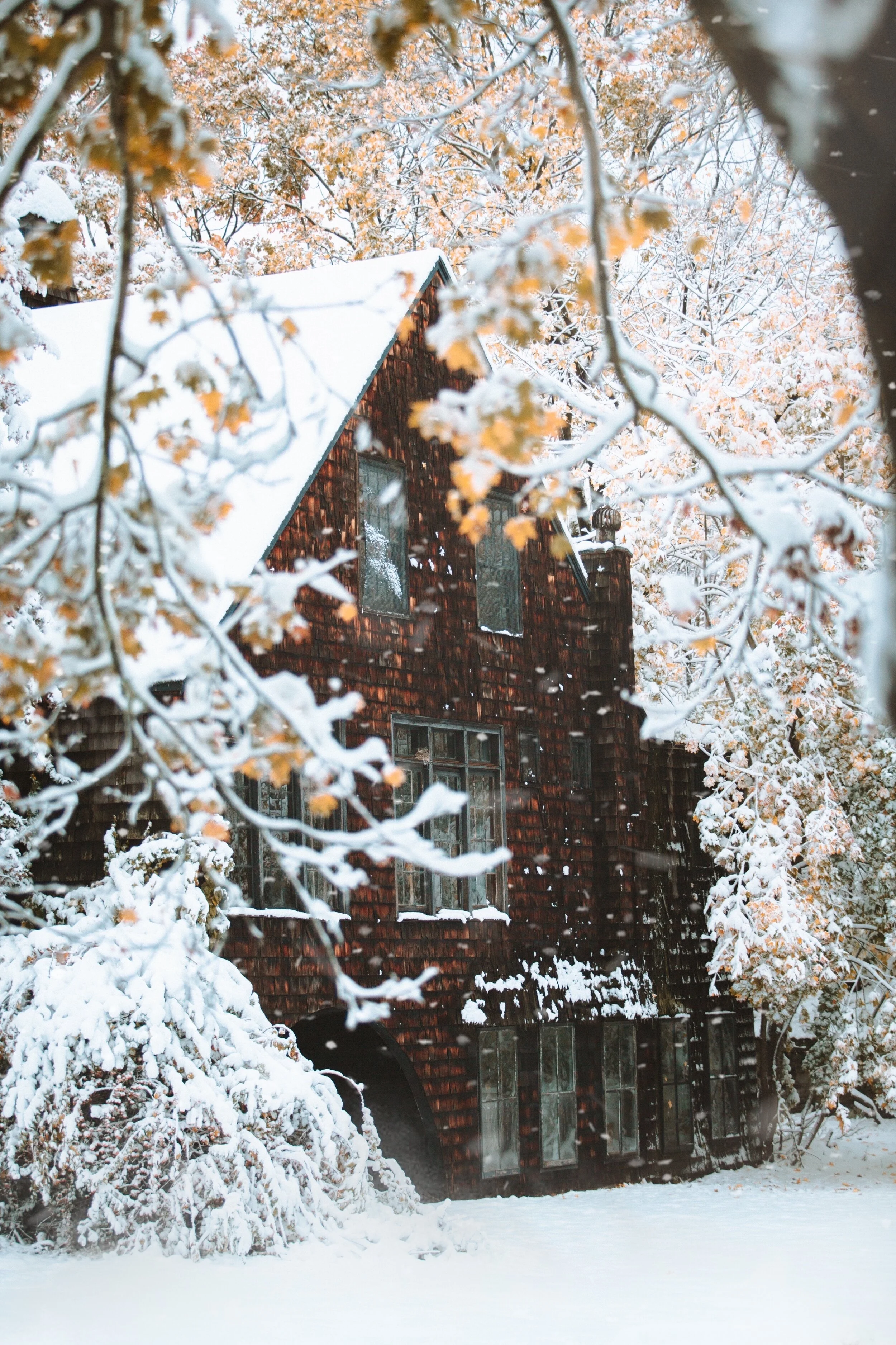 LD-Export copy 2 8.26.07 PM.JPG