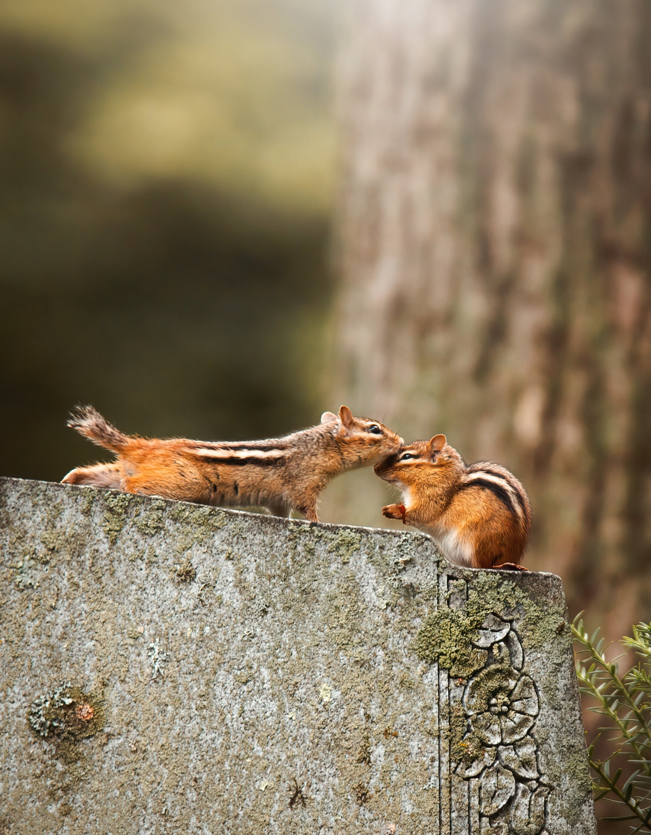 LD-Export 7 copy.JPG