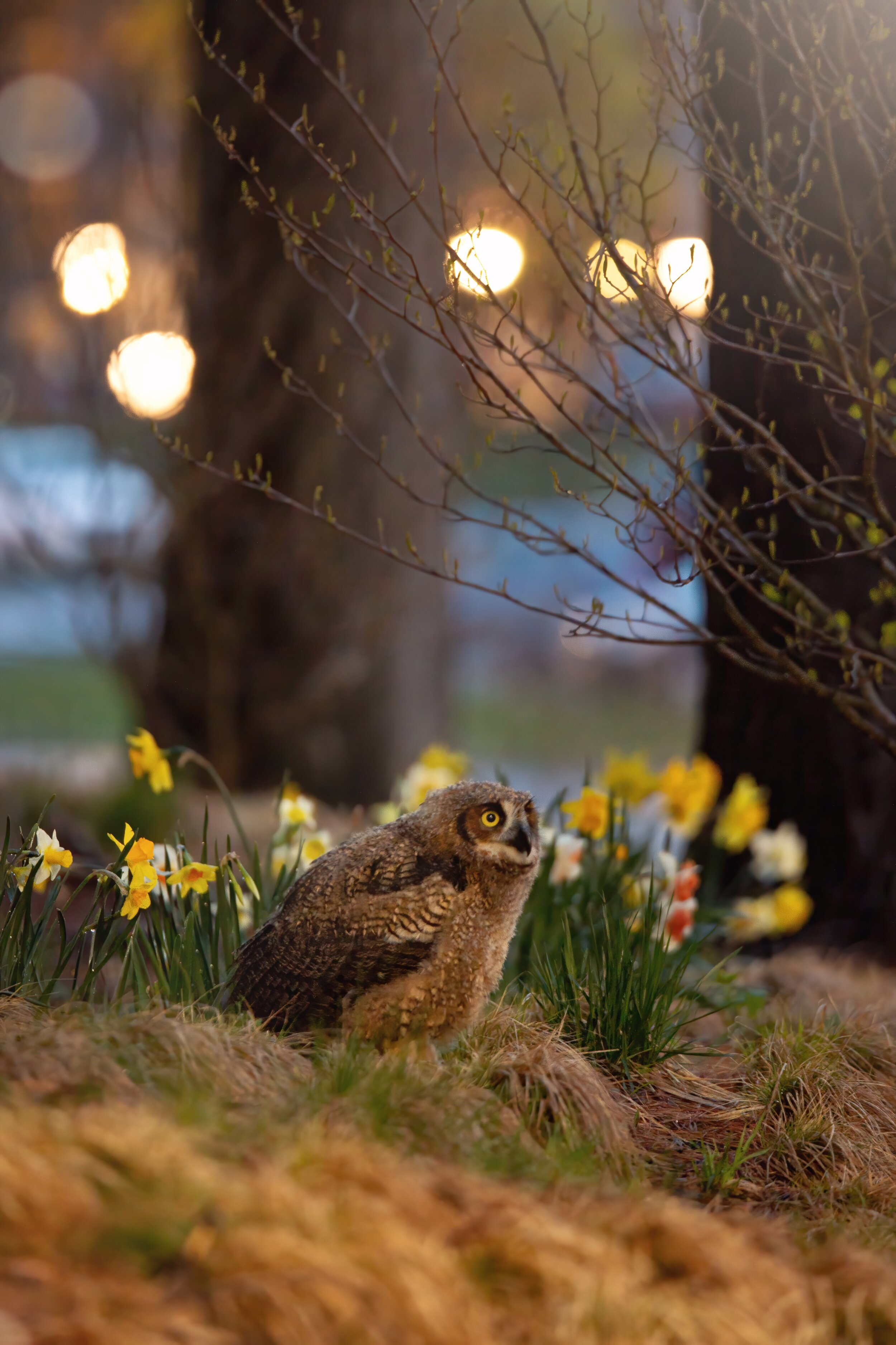 LD-Export 6 copy.JPG