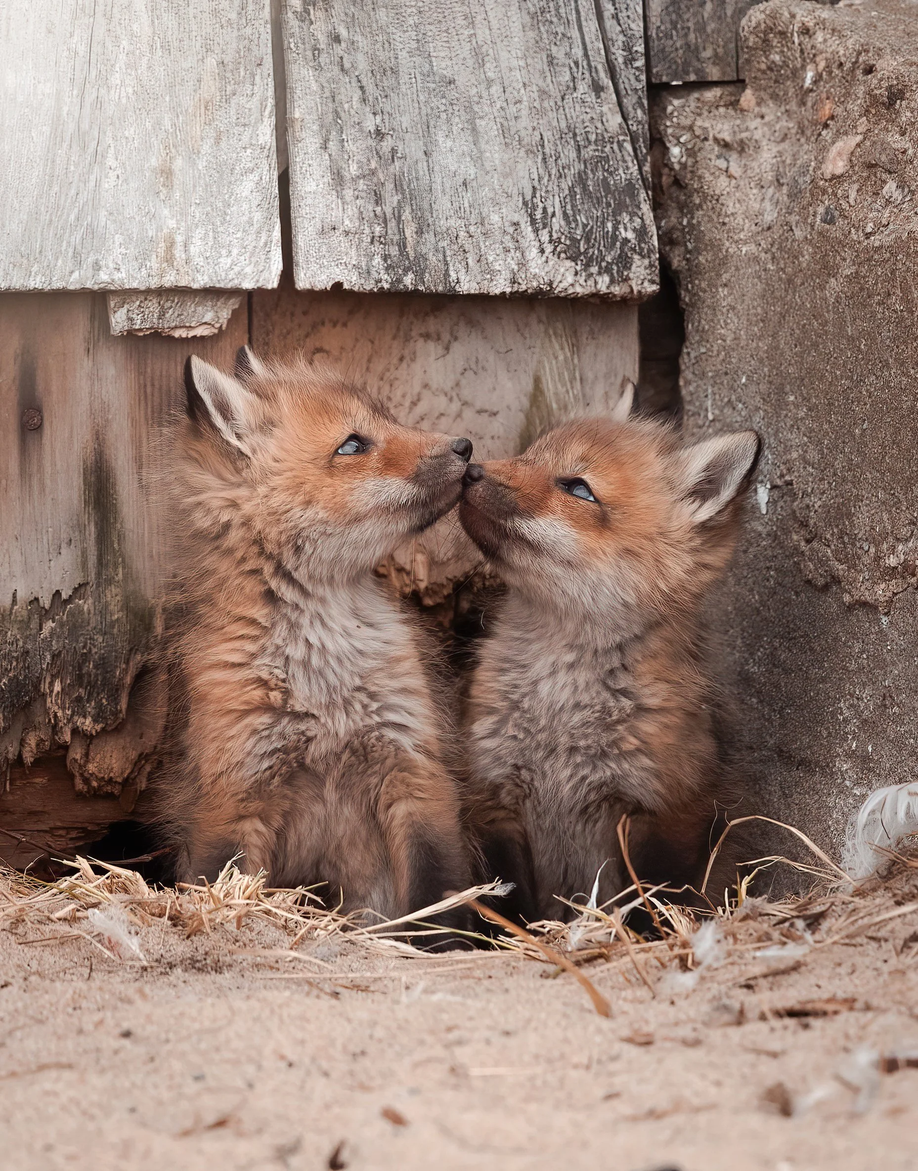 LD-Export 8 copy 6.JPG