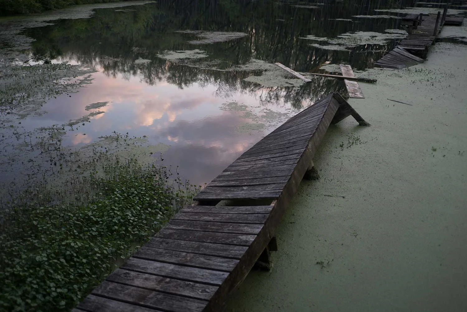 jetty-bts-7.jpg