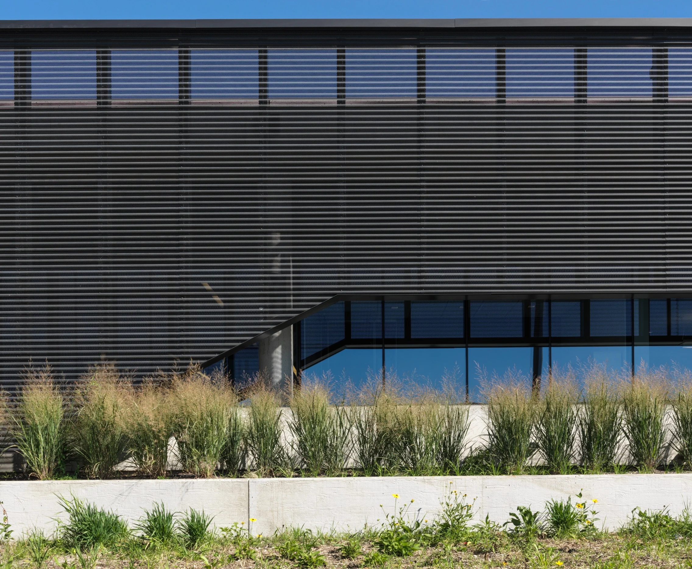 Exterior - Screen Transition.jpg