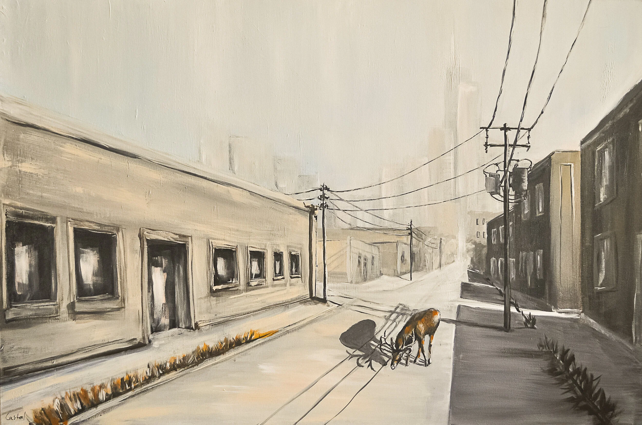 No Place Left to Roam