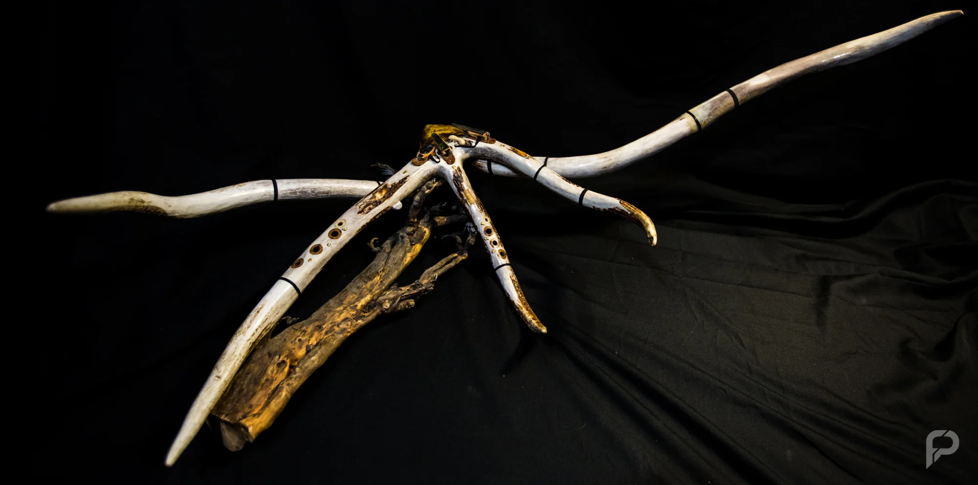 Dan-Flutes-22.jpg