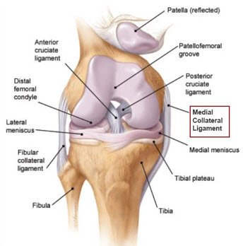 Understanding Collateral Ligament Injury!