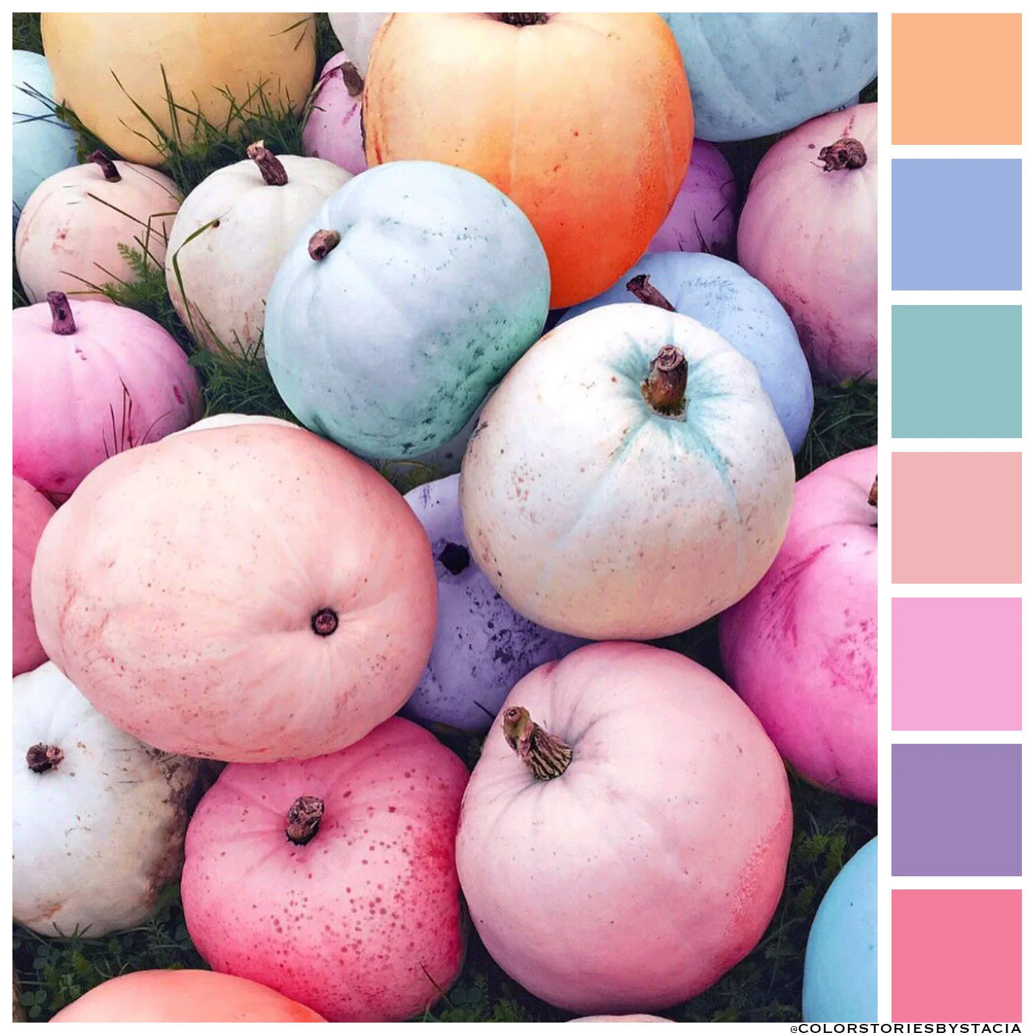 Pastel Pumpkins