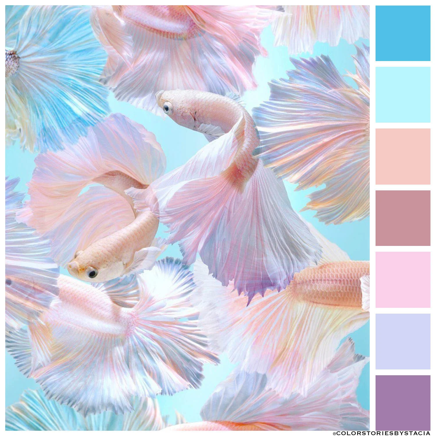 Mermaid Dreams