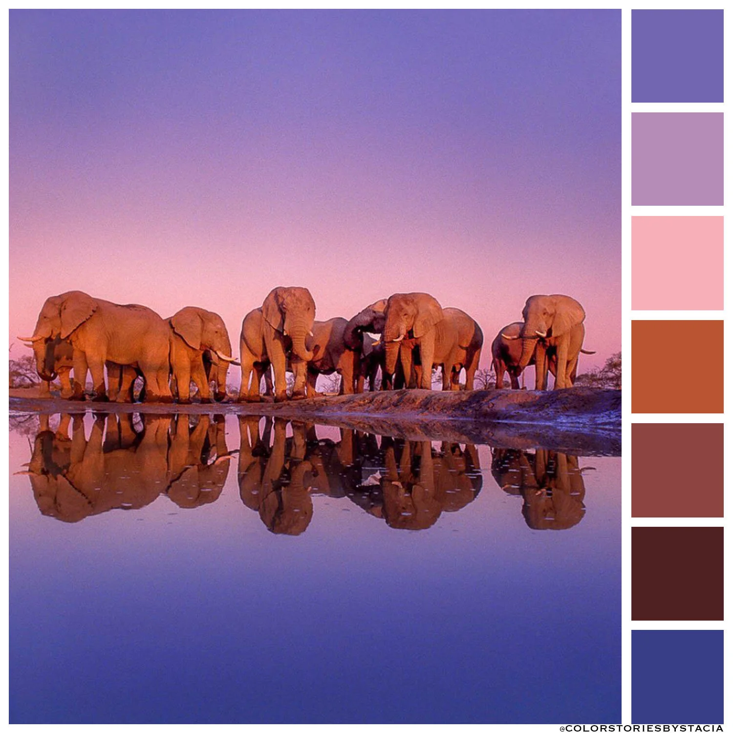 Elephant Ombré Sky