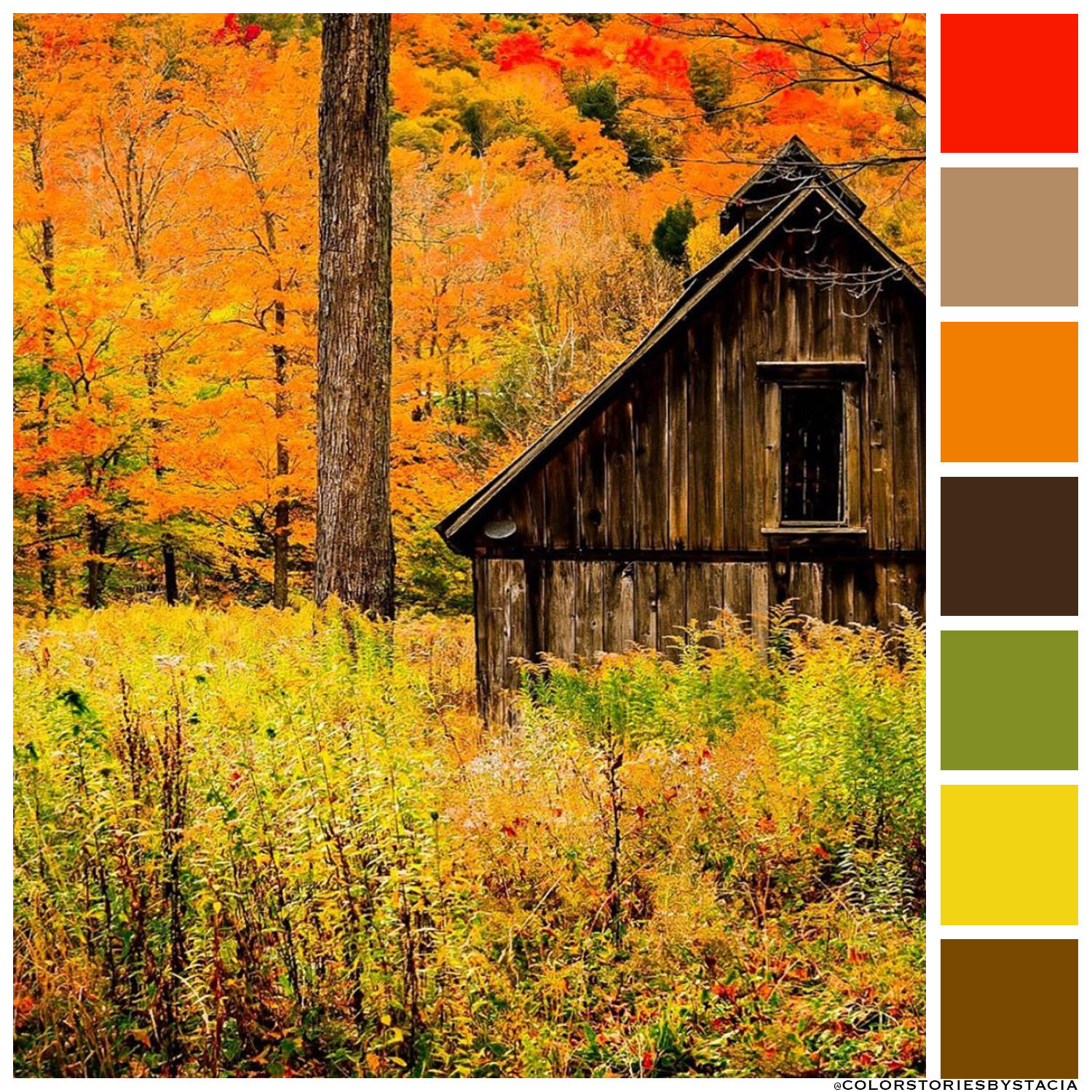 Vermont Fall Foliage