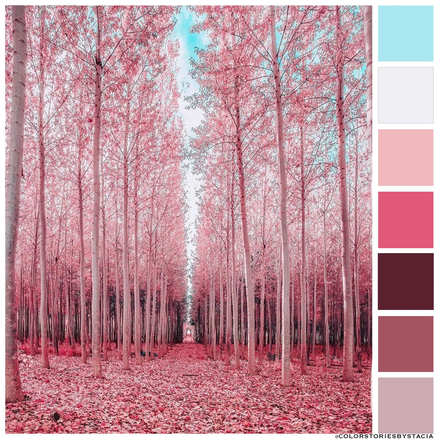 Valentine's Day Stroll