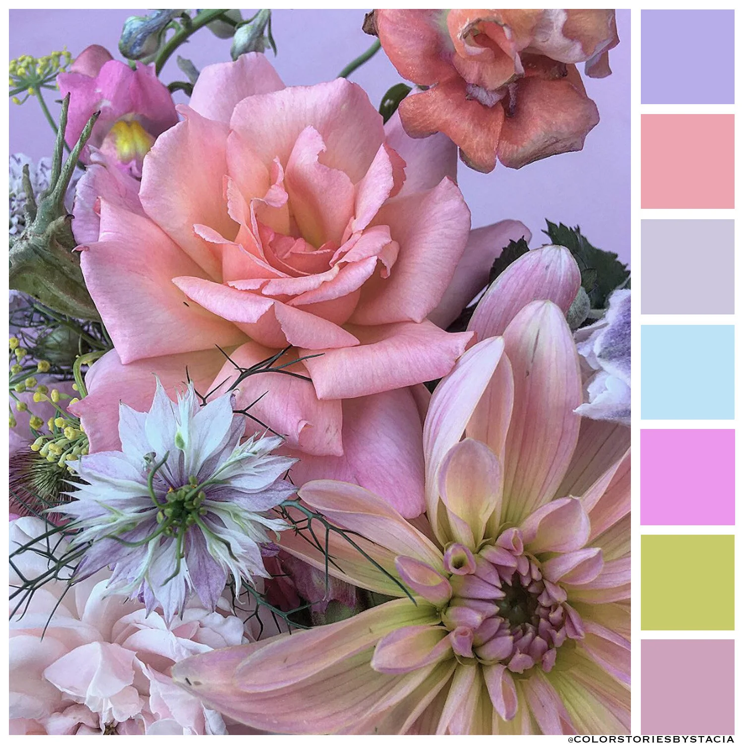 Palette Perfection