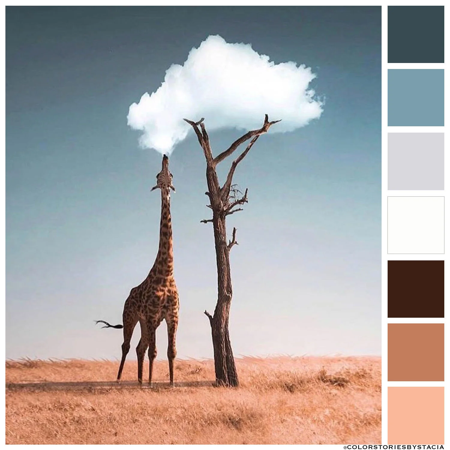 Reach for the Clouds!