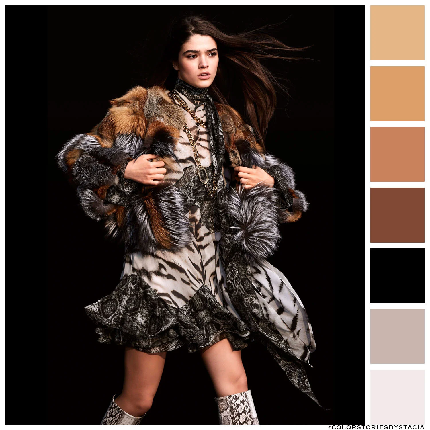 Roberto Cavalli Fall 2020