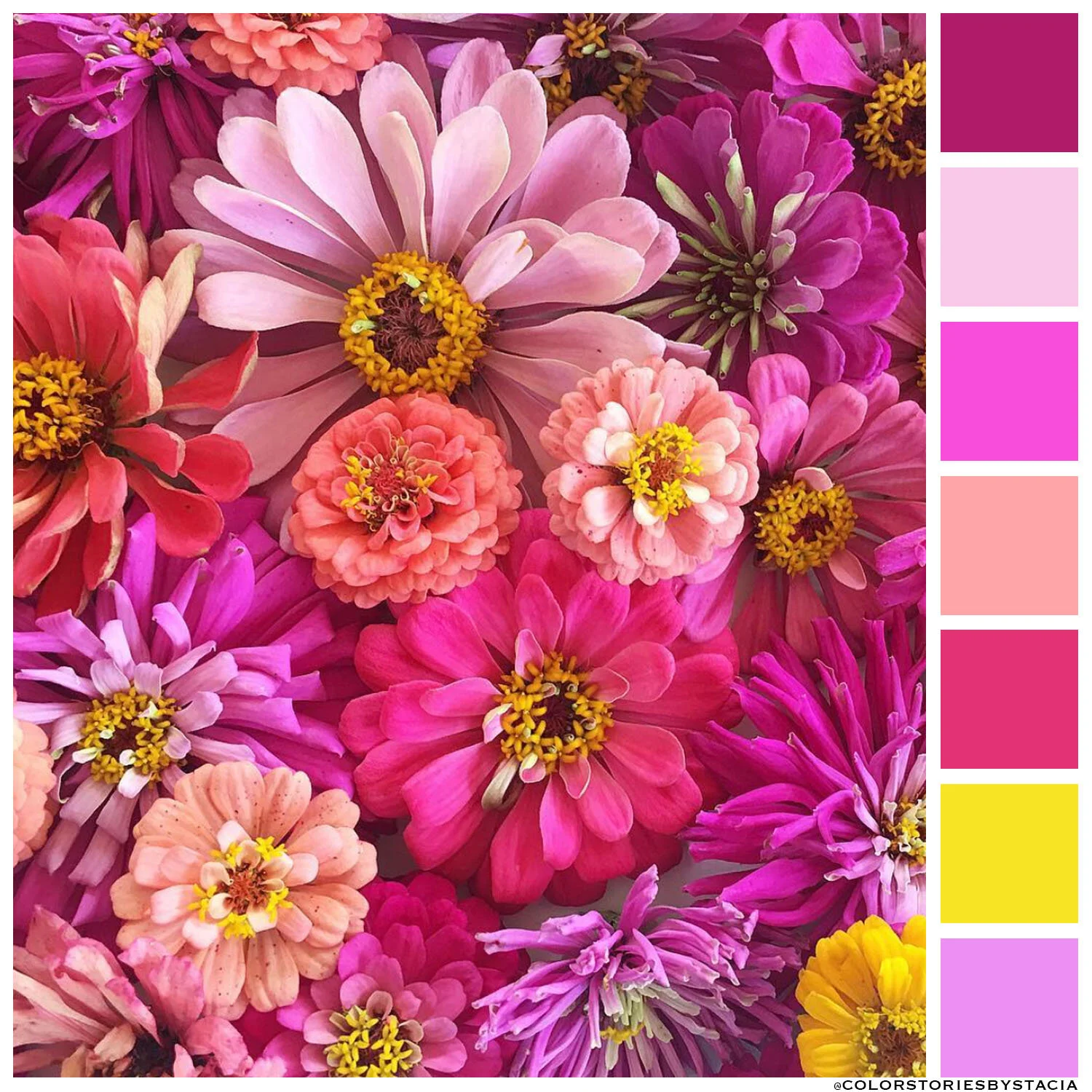 𝐅𝐫𝐨𝐦 𝐀 𝐭𝐨 𝐙innia 