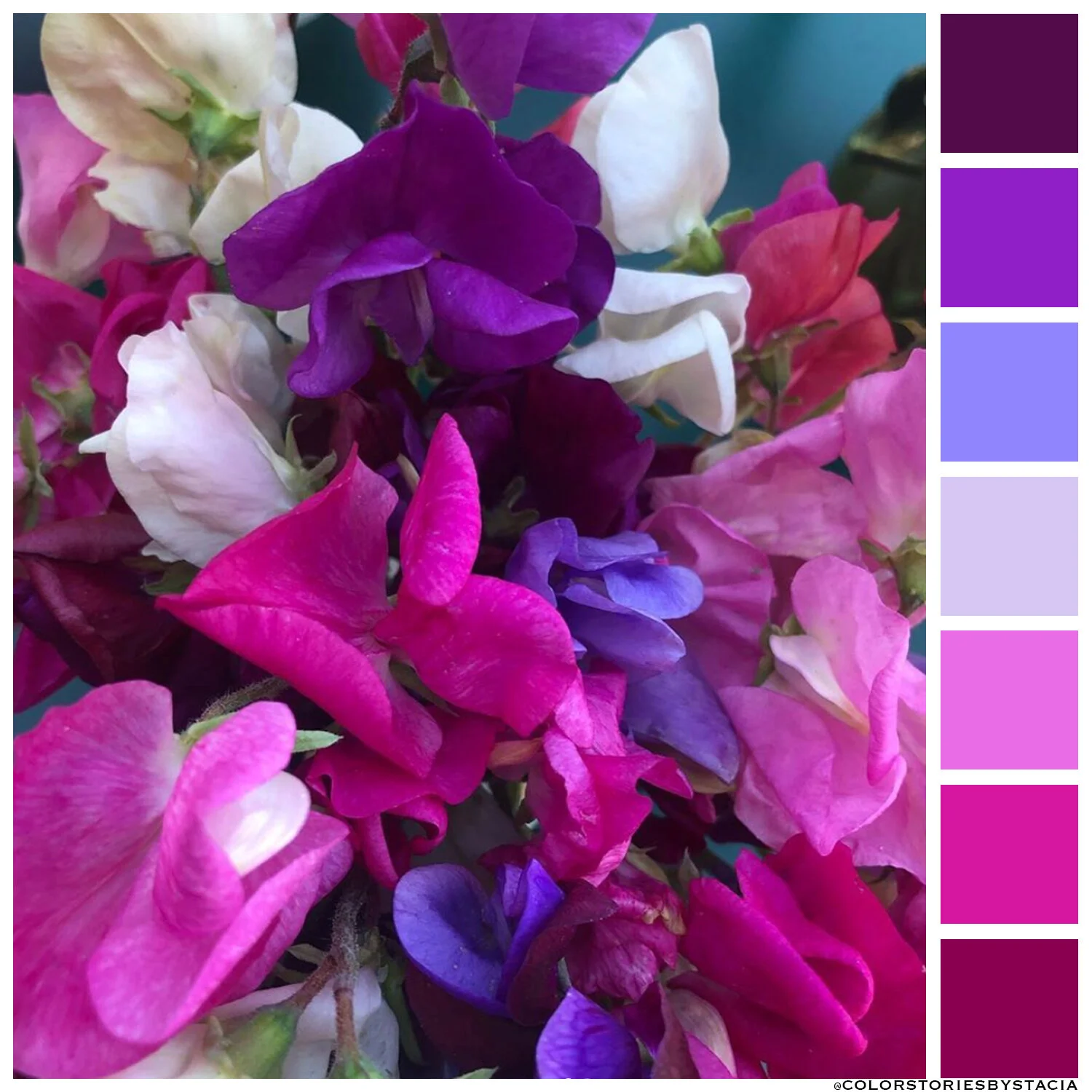 Fuchsia Friday! 💕