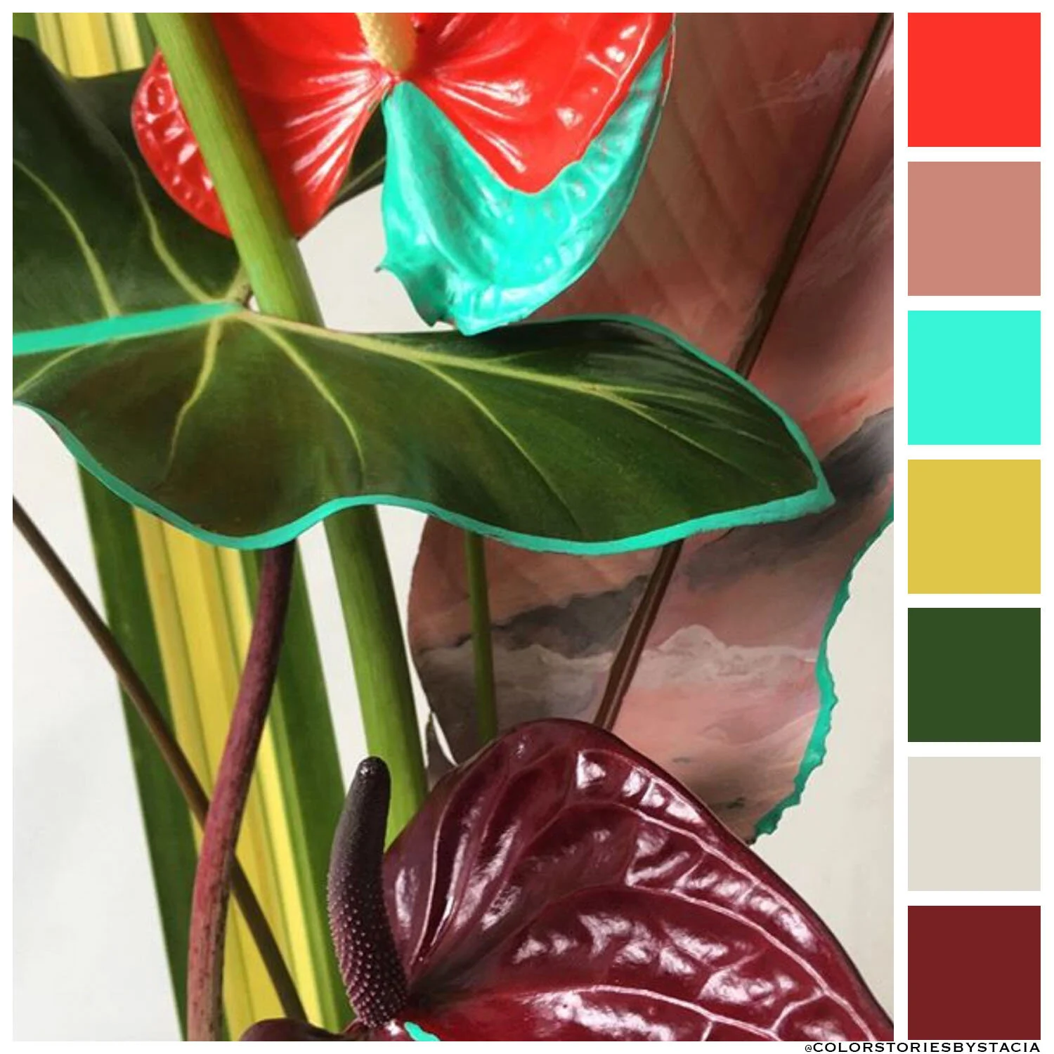 Tropical Color Magic