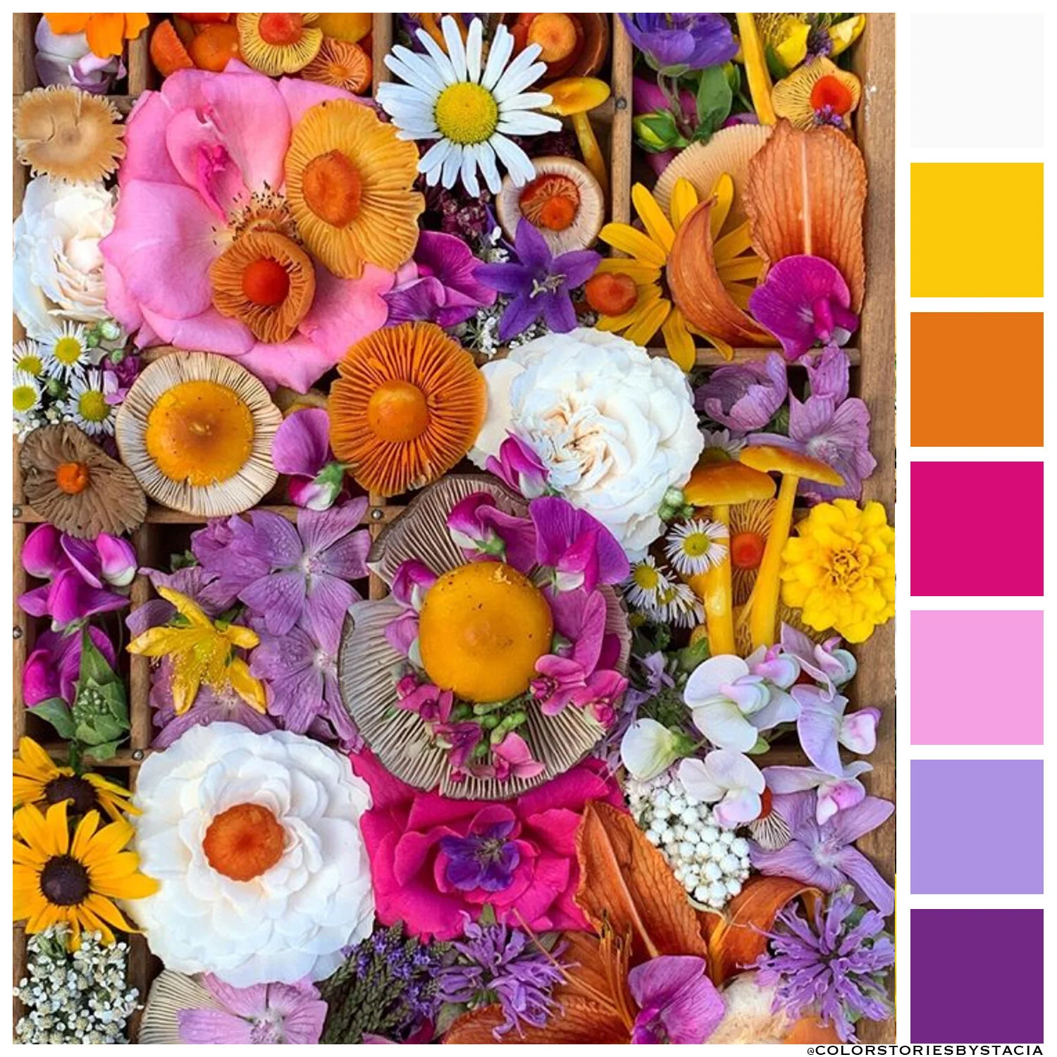 Fungi + Flower Friday!