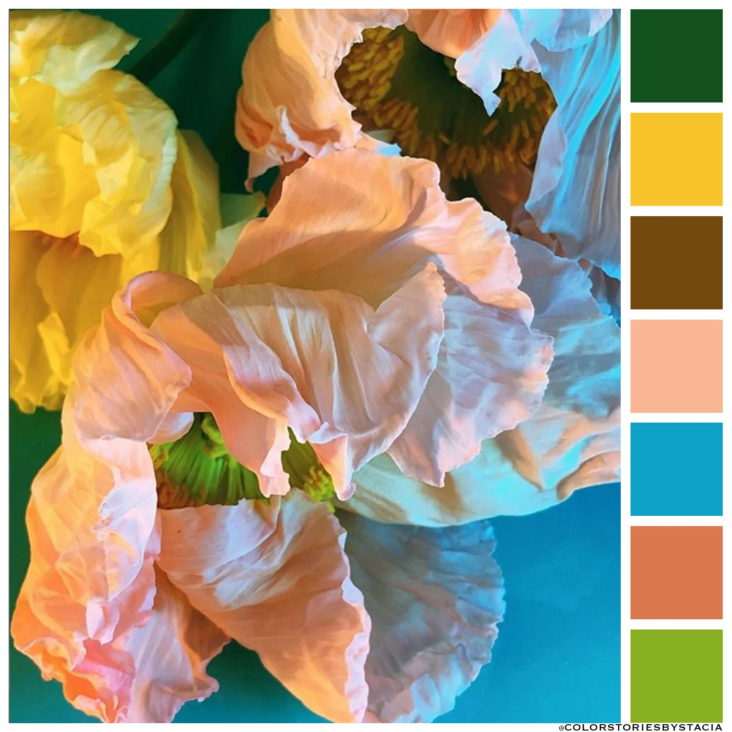 colorfulflowers.jpg