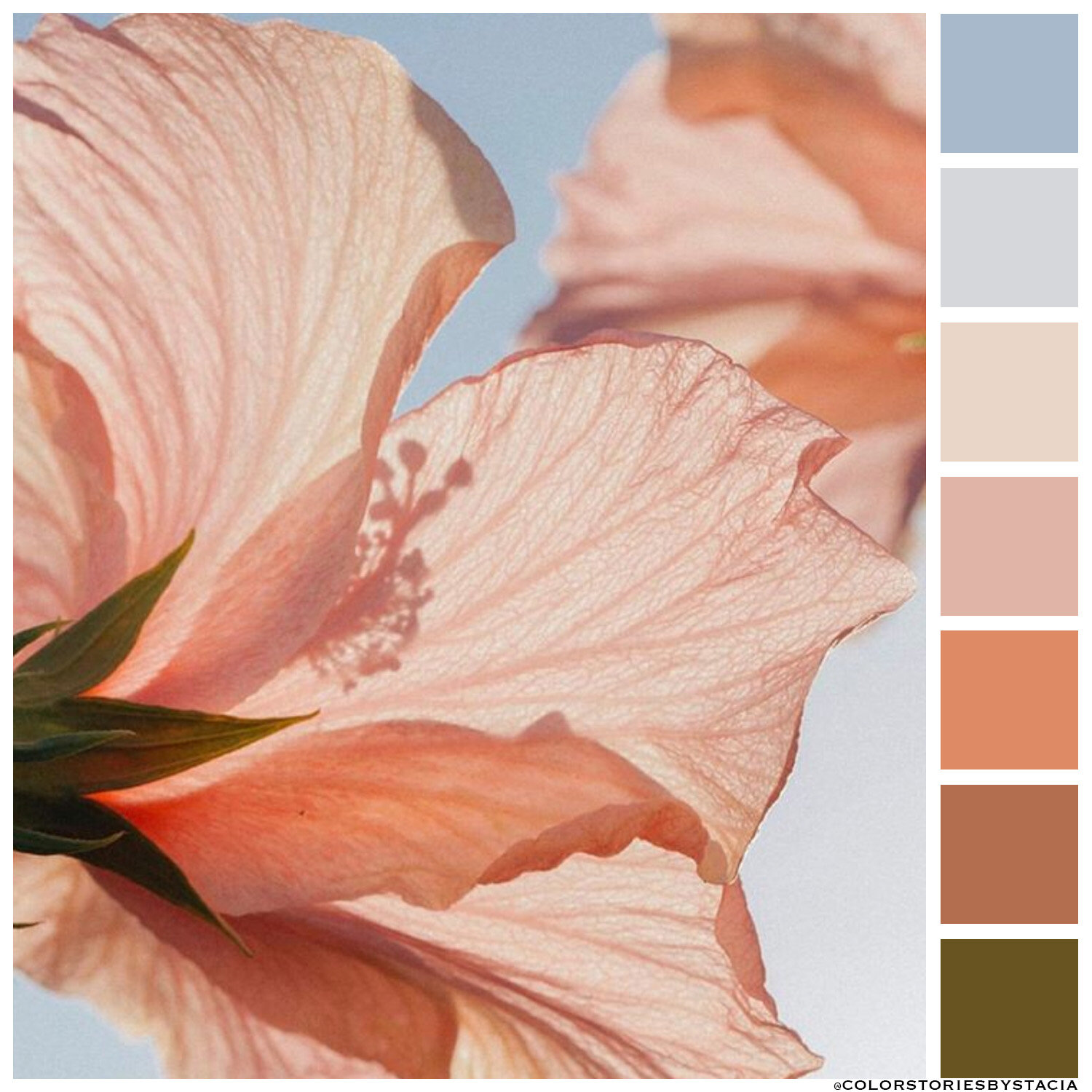 ｓｅｒｅｎｉｔｙ⁠