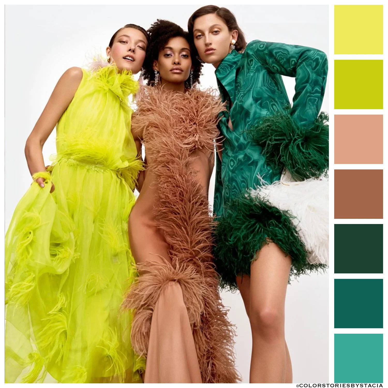 Feathery Flights of Fancy