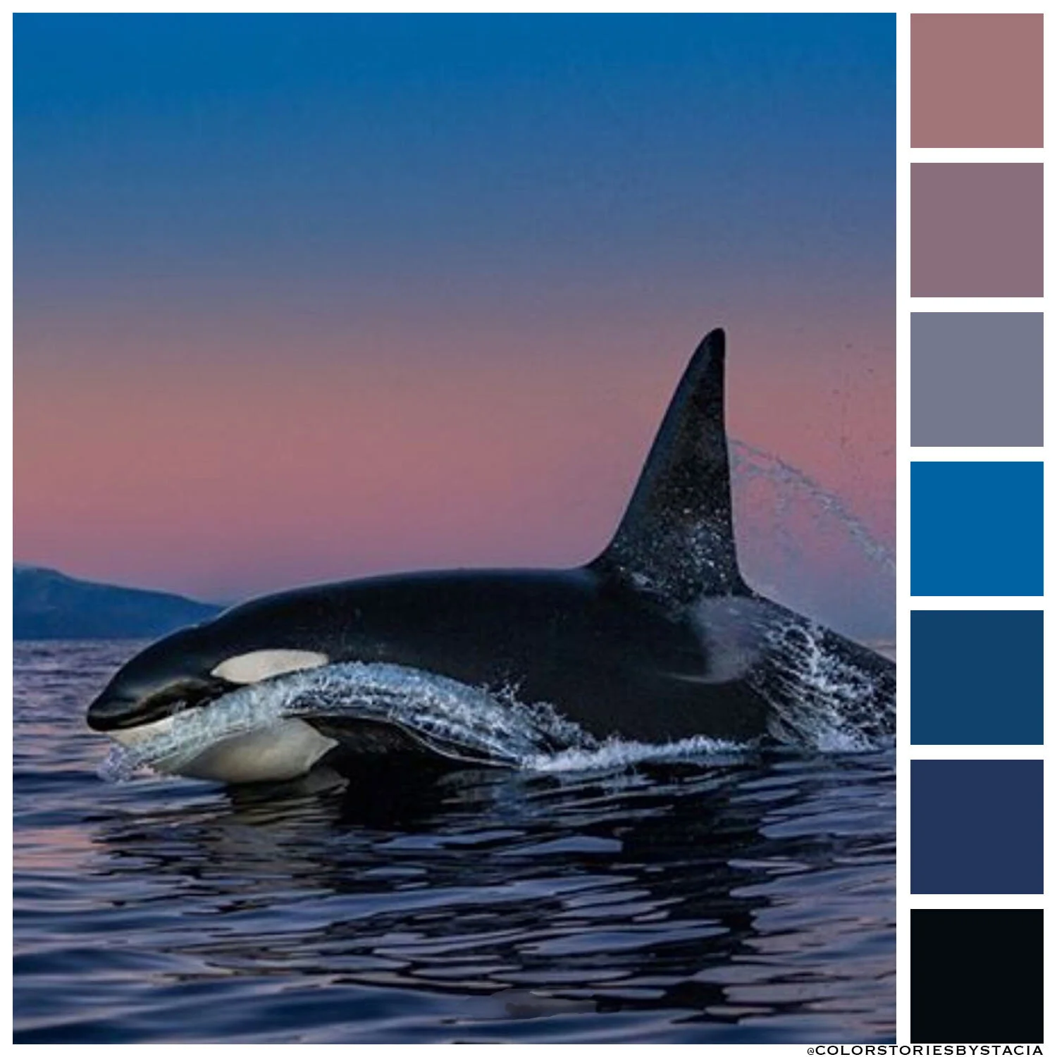 Orca Sunset