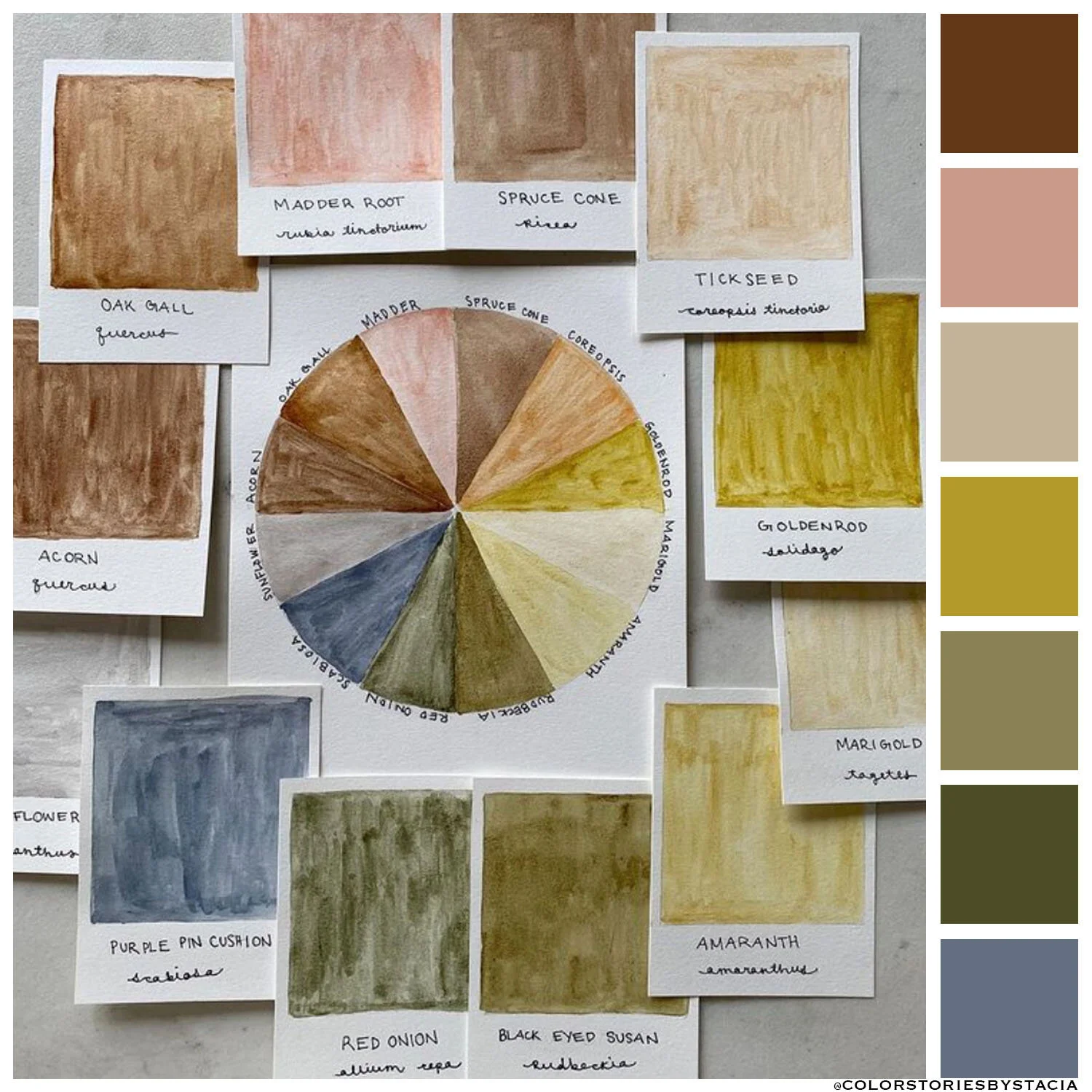 Natural-Dye Color Wheel
