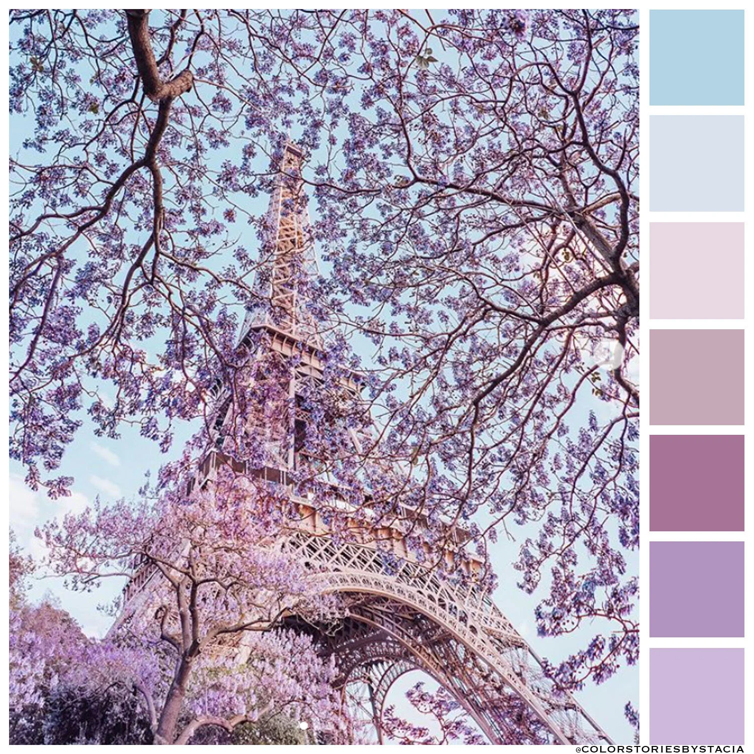 Eiffel Tower Blooms