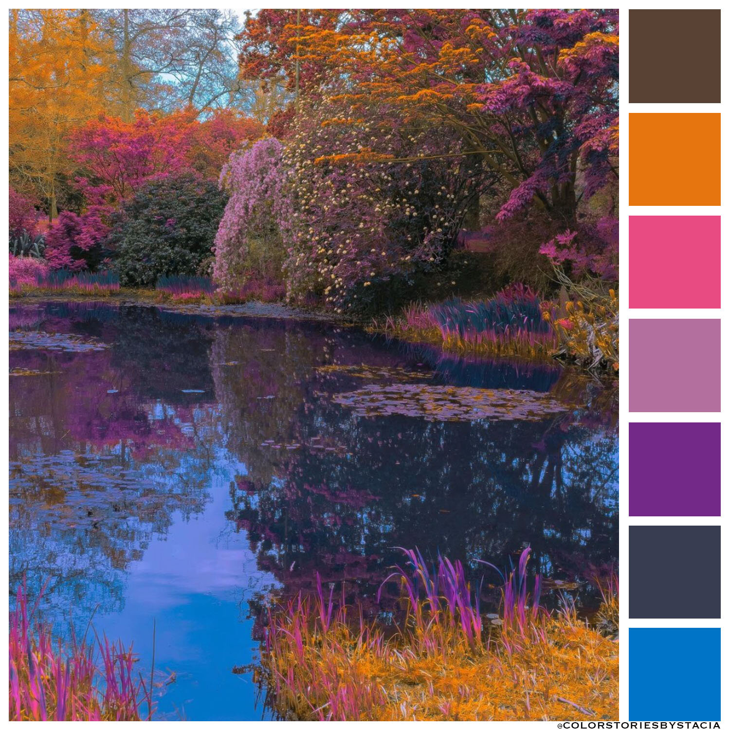 Fall Brights!