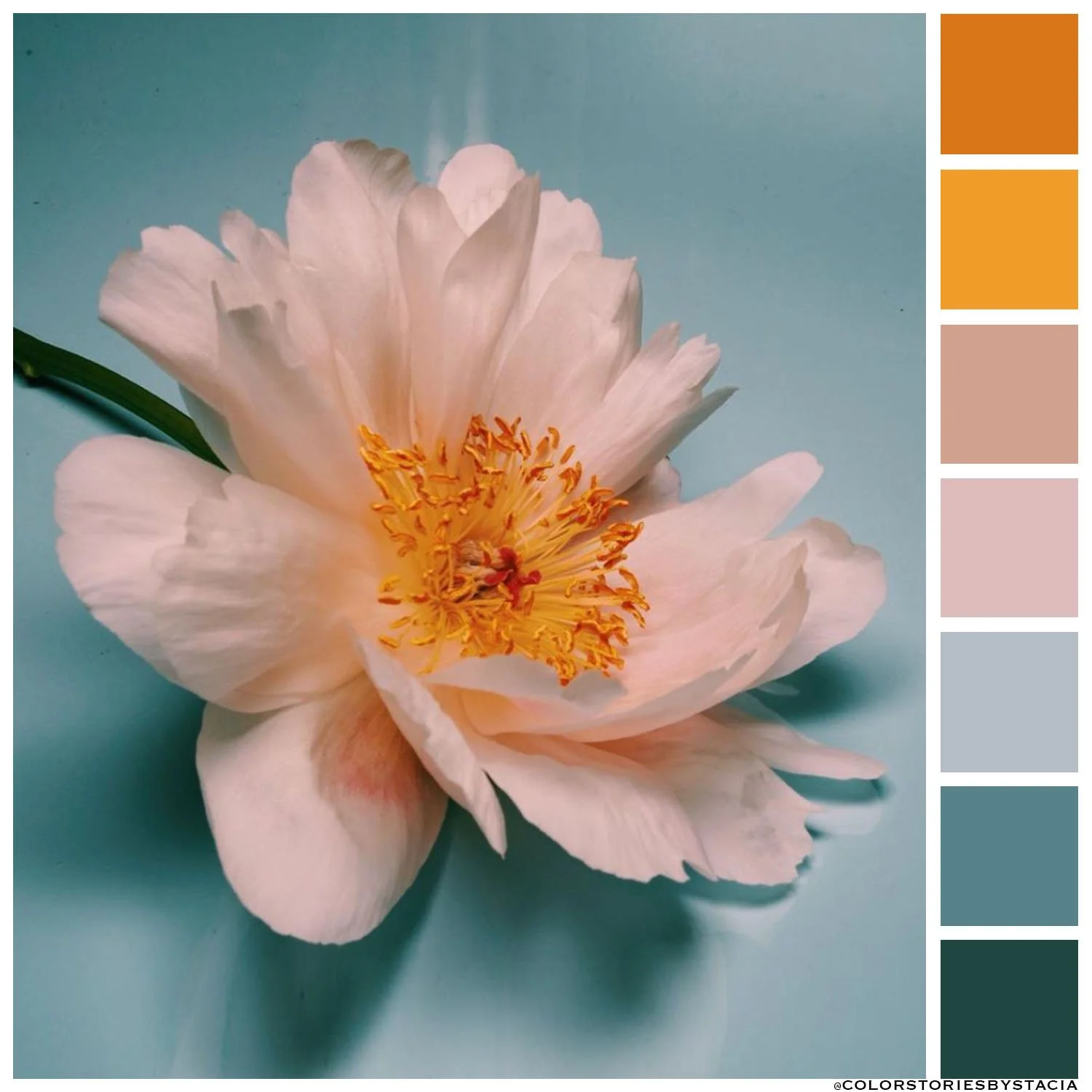 Light Mocha + Chai on Washed Denim